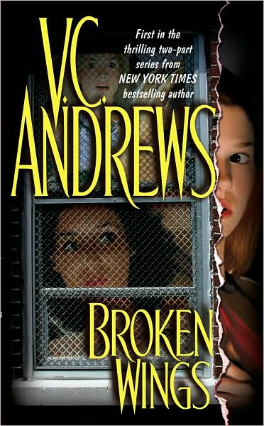 Broken Wings (Broken Wings Series #1)