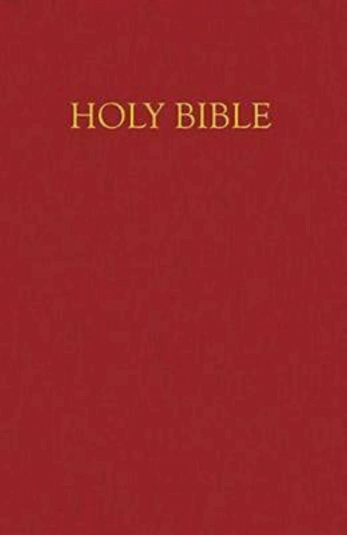 Children's New Revised Standard Version Bible: Deluxe Gift Edition, Simulated Burgundy Leather