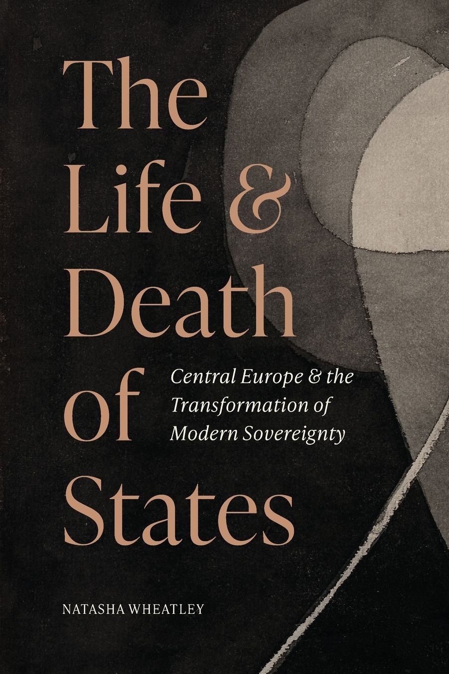 The Life and Death of States: Central Europe and the Transformation of Modern Sovereignty