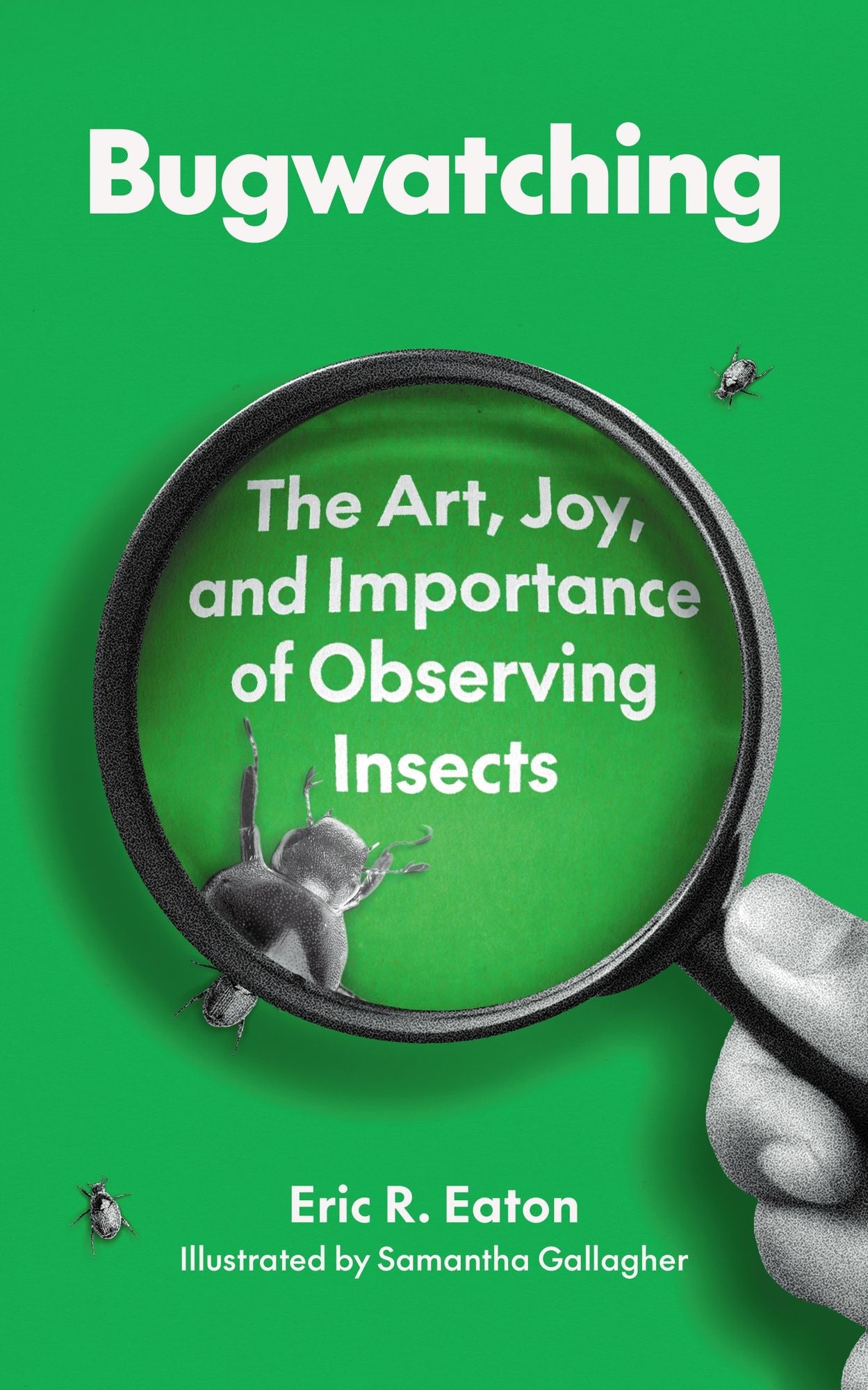 Bugwatching: The Art, Joy, and Importance of Observing Insects