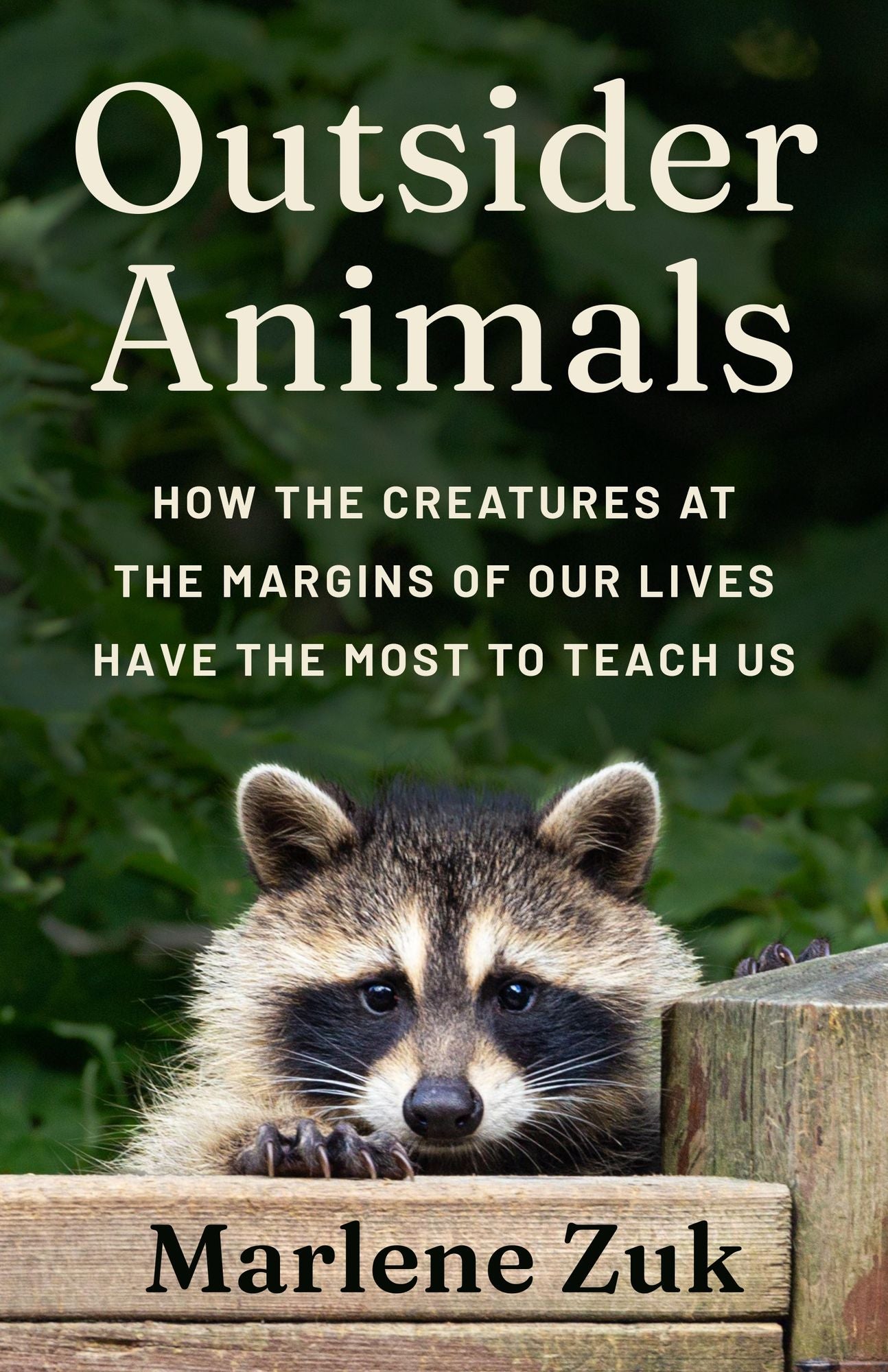 Outsider Animals: How the Creatures at the Margins of Our Lives Have the Most to Teach Us