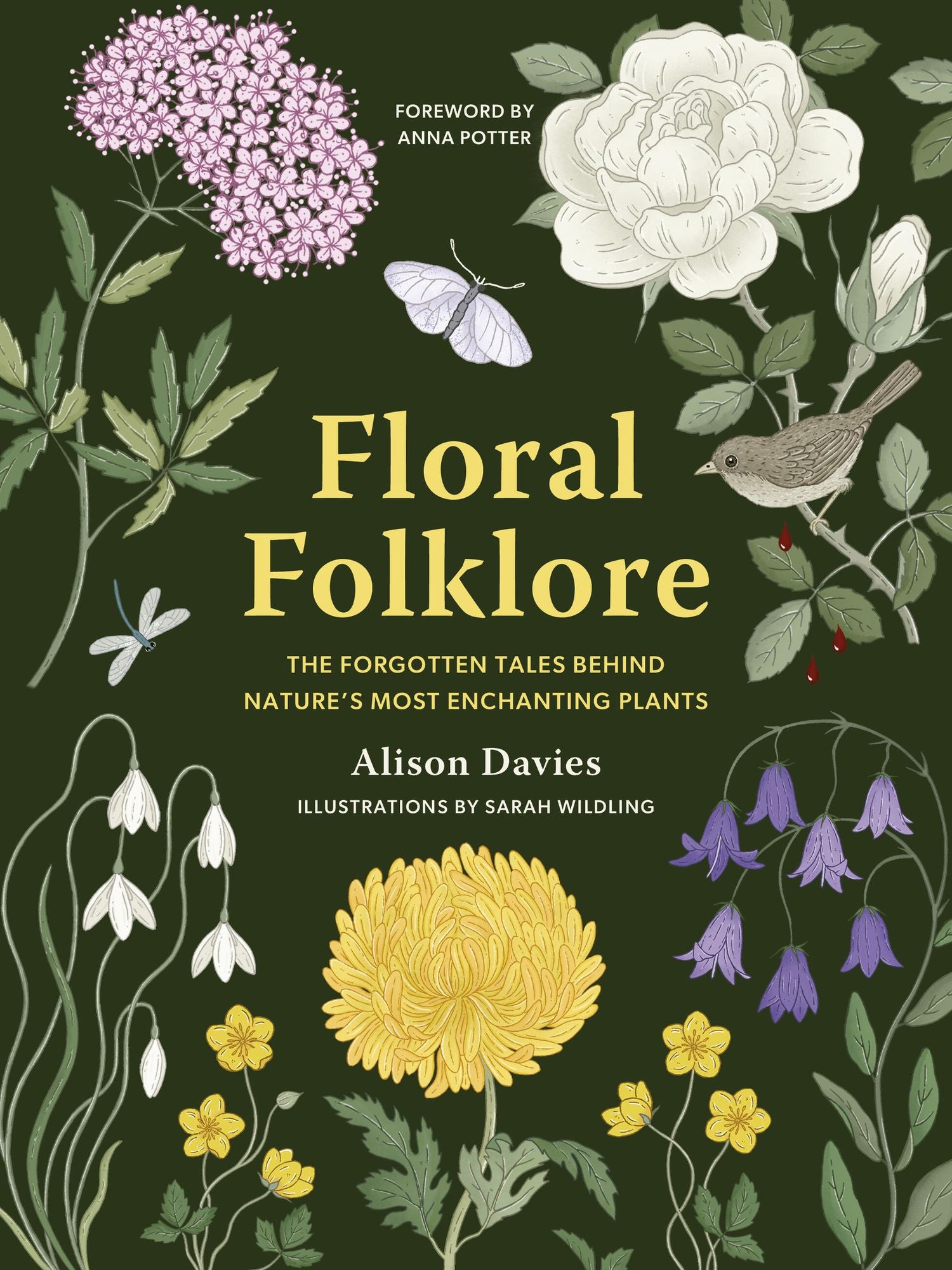 Floral Folklore: The forgotten tales behind nature's most enchanting plants