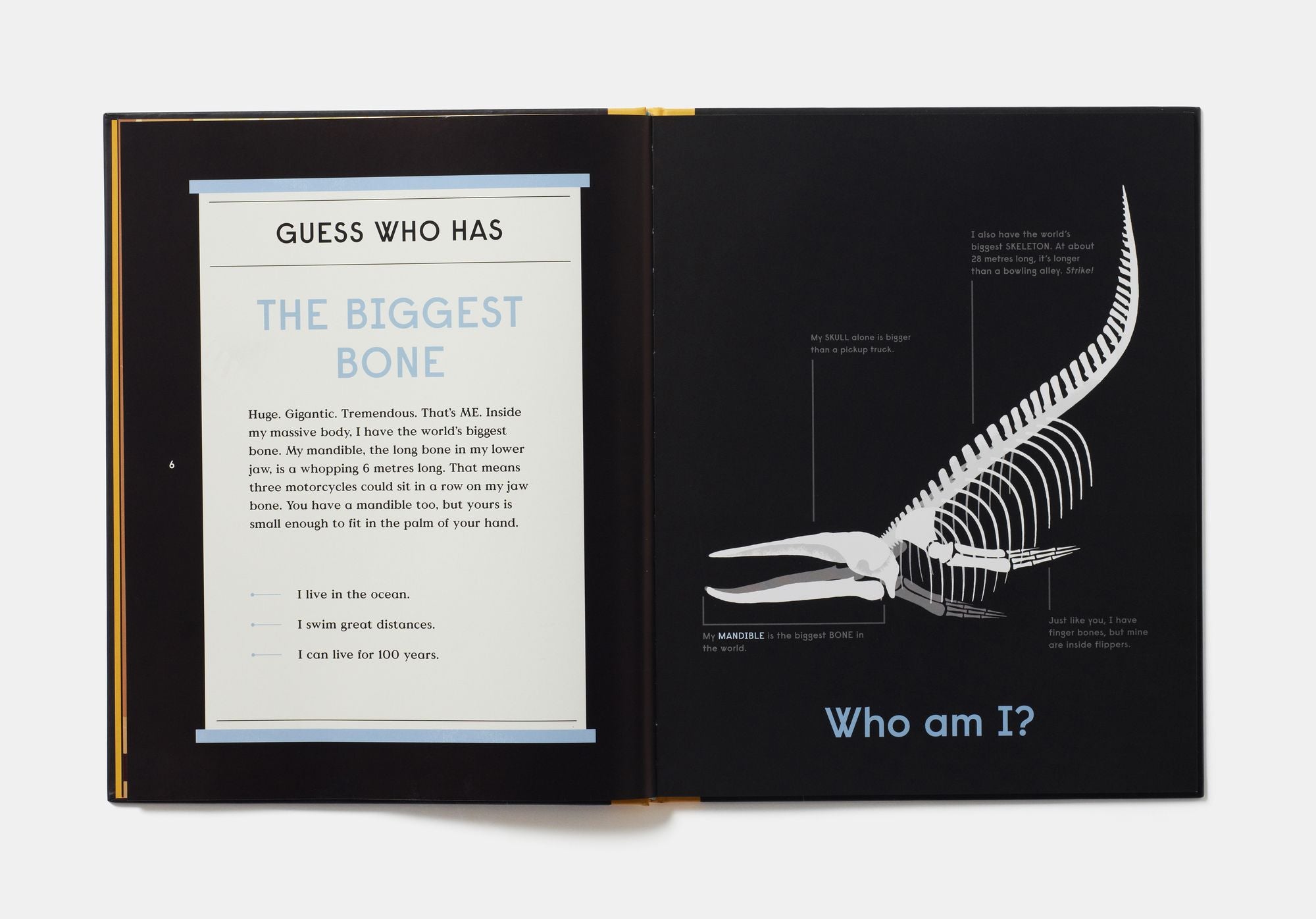 Book of Bones: 10 Record-Breaking Animals