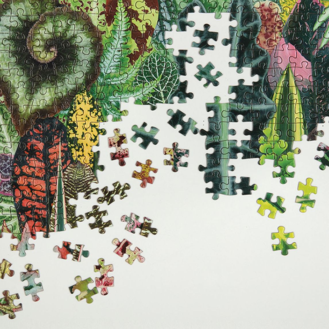 Houseplant Jungle 1000 Piece Puzzle