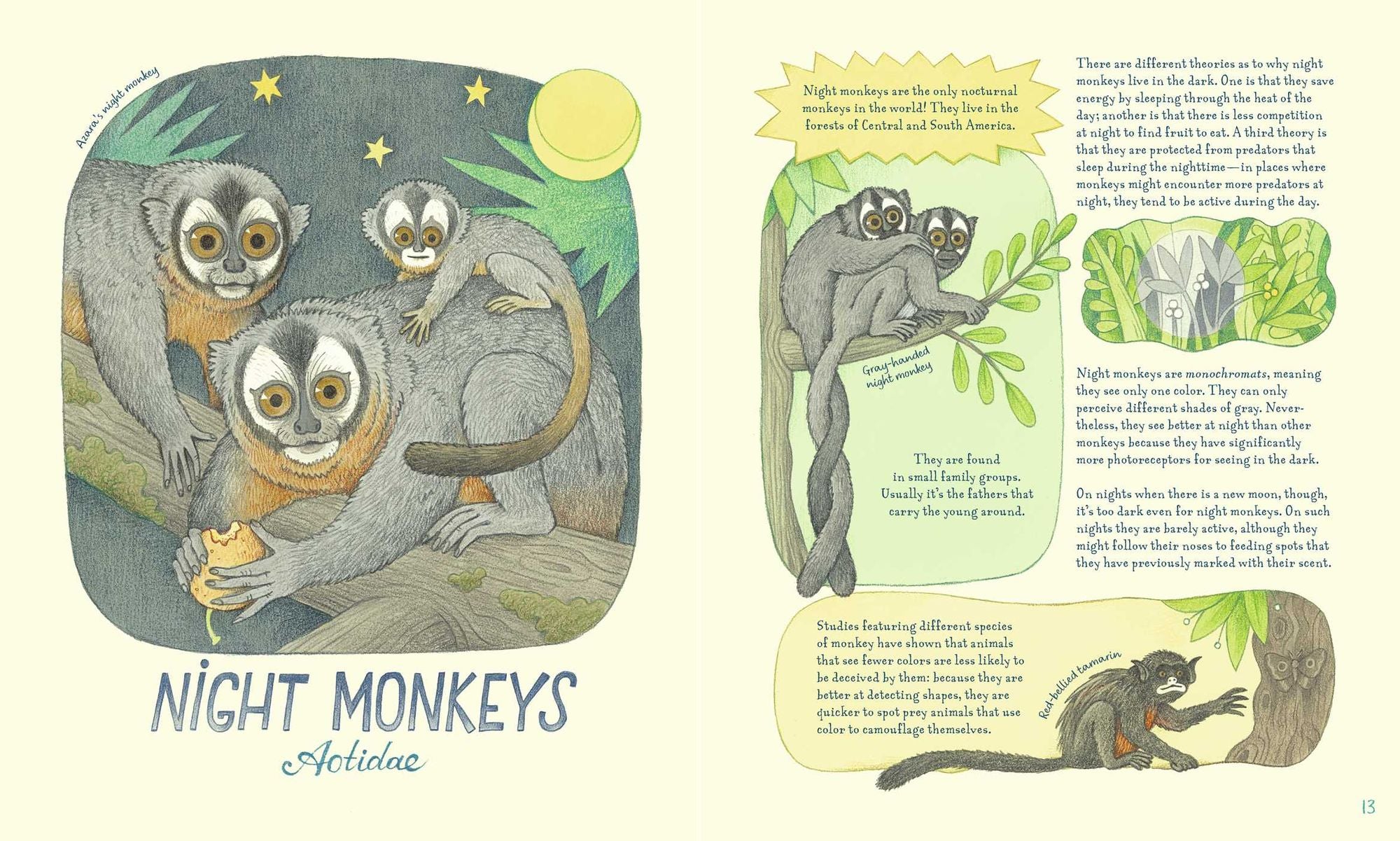 Genius Eyes: A Curious Animal Compendium