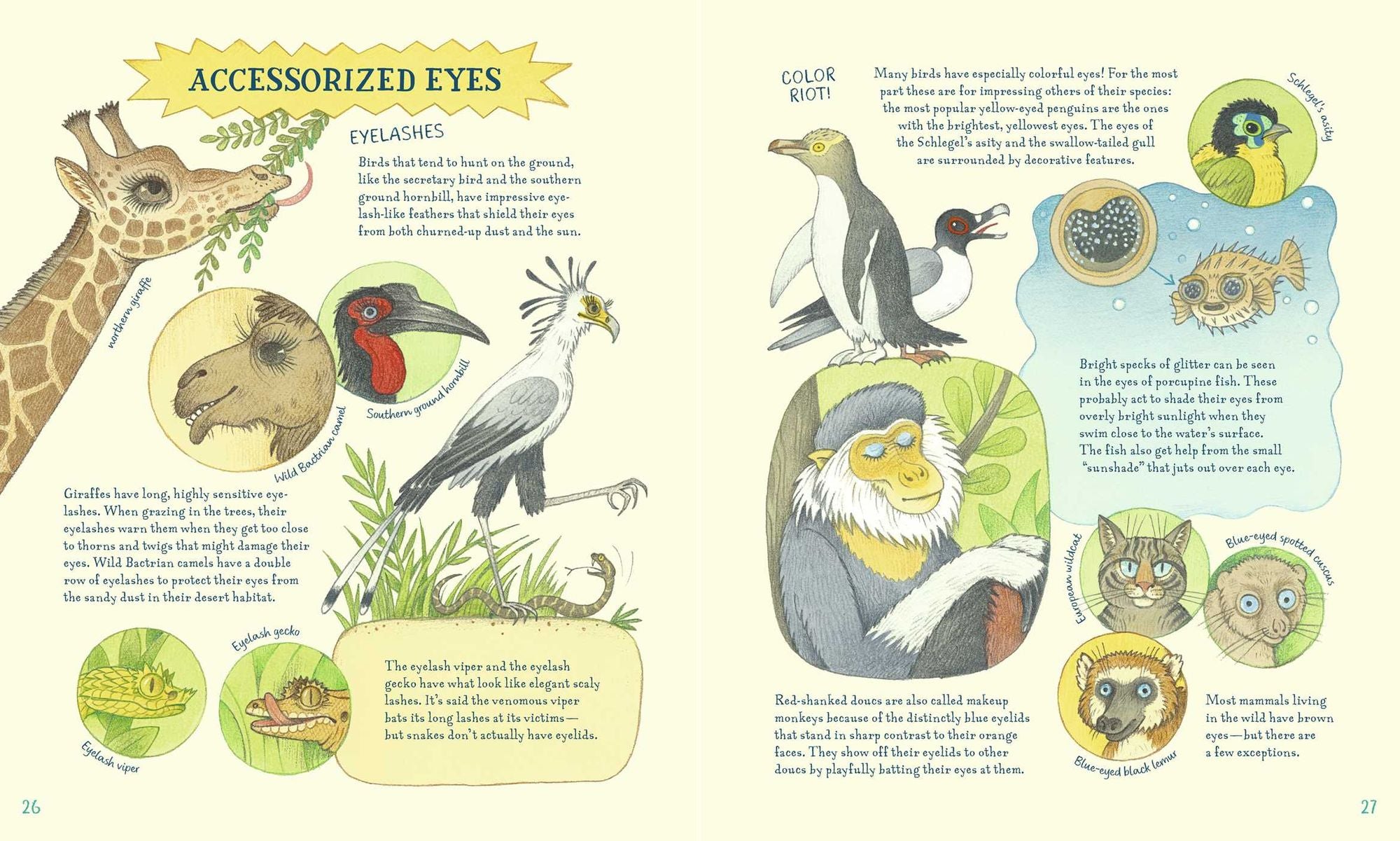 Genius Eyes: A Curious Animal Compendium