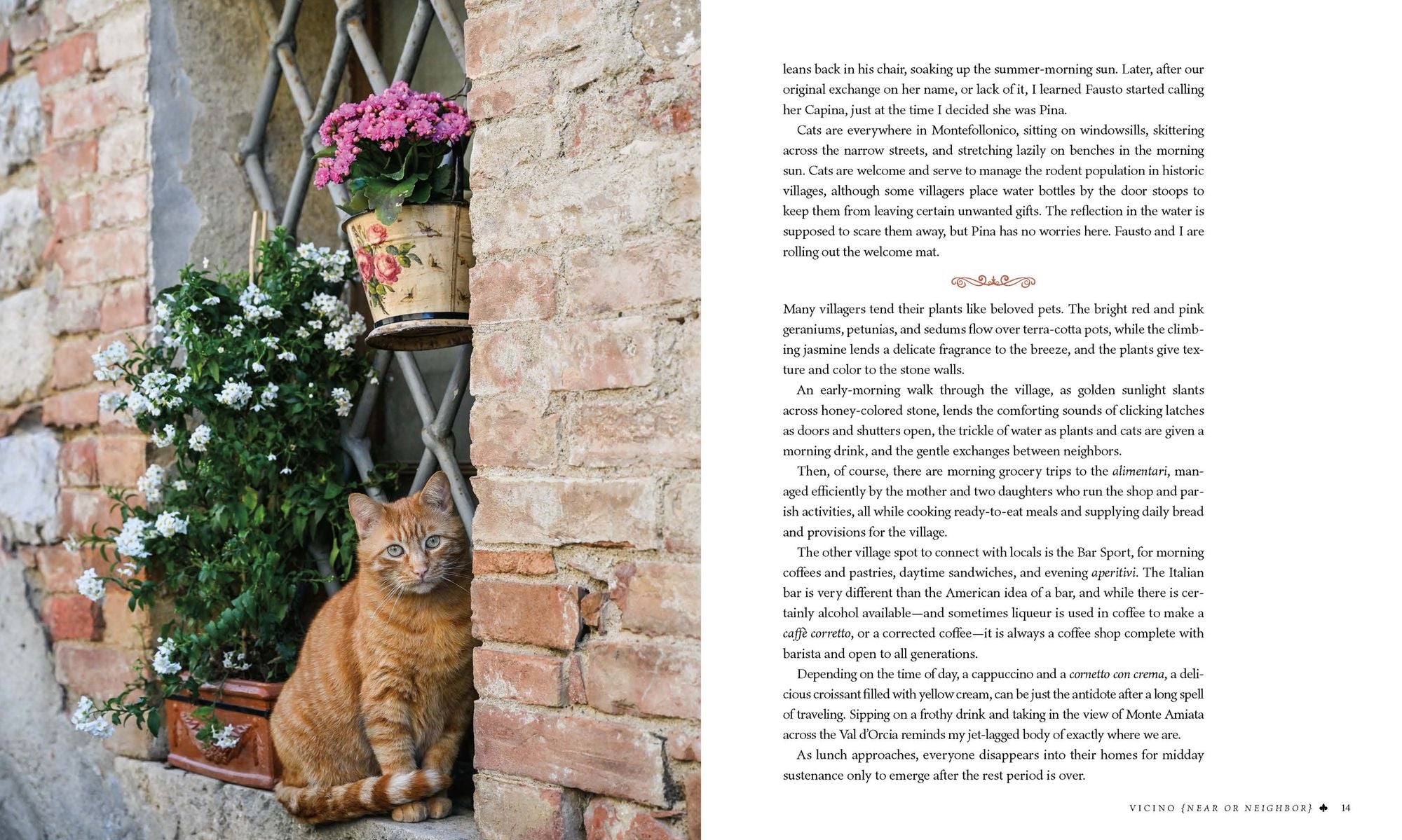 Village Life: Discover Tuscan-Inspired Hospitality and Intentional Living