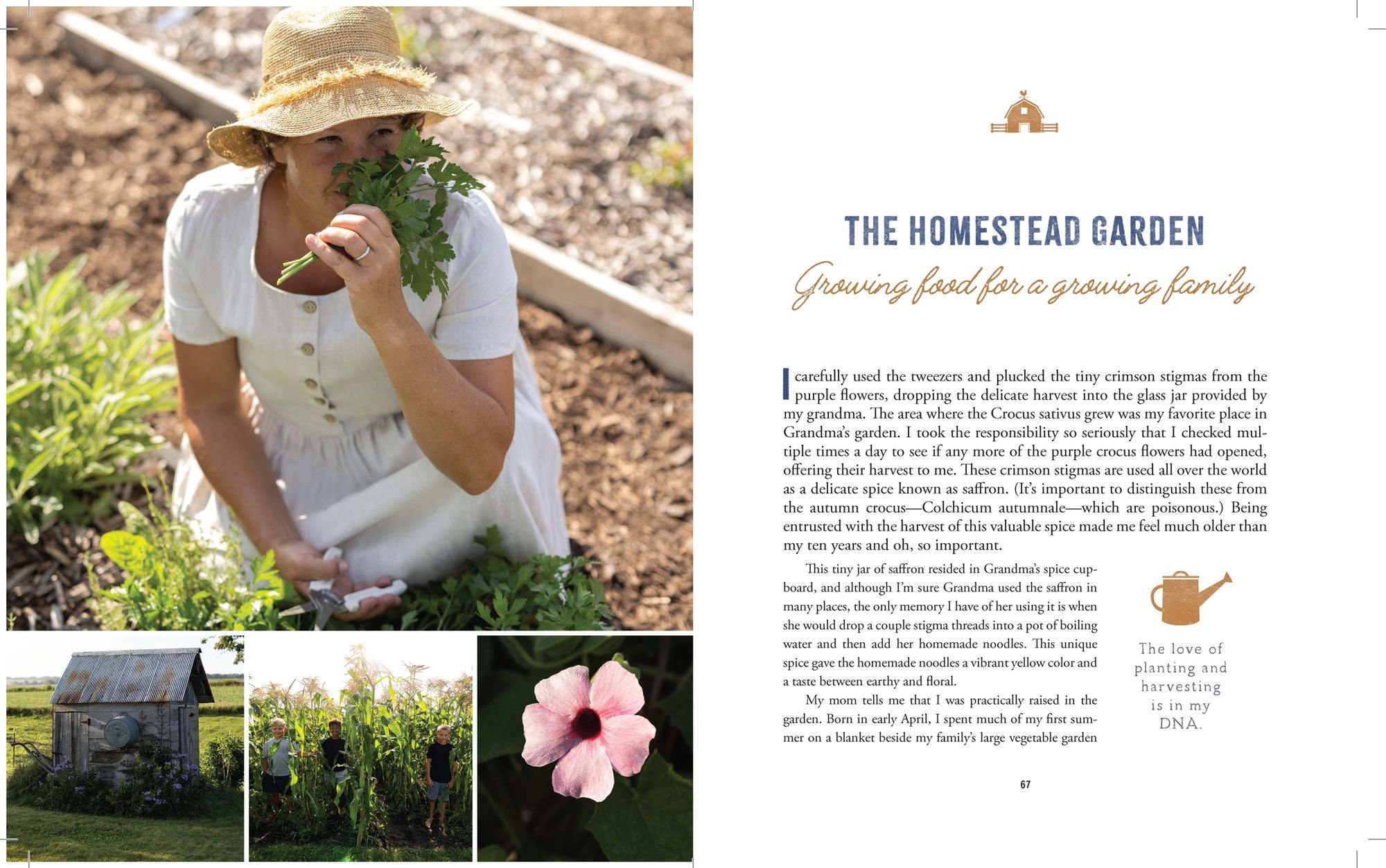 The Heart of the Homestead: Cultivating a Spirit of Simple Living Through Homemaking, Recipes, and Family