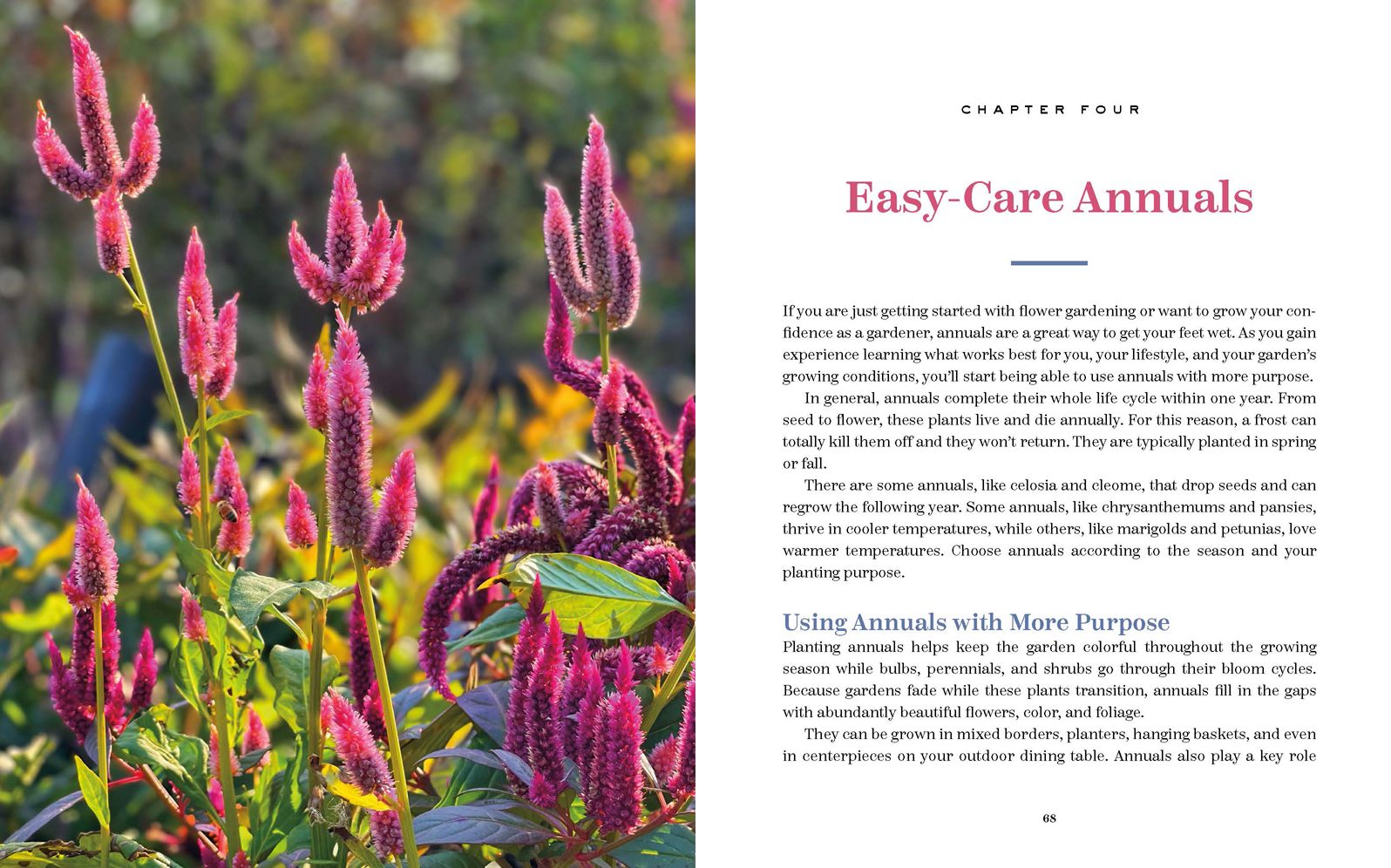 The Bricks 'n Blooms Beautiful and Easy-Care Flower Garden Planner