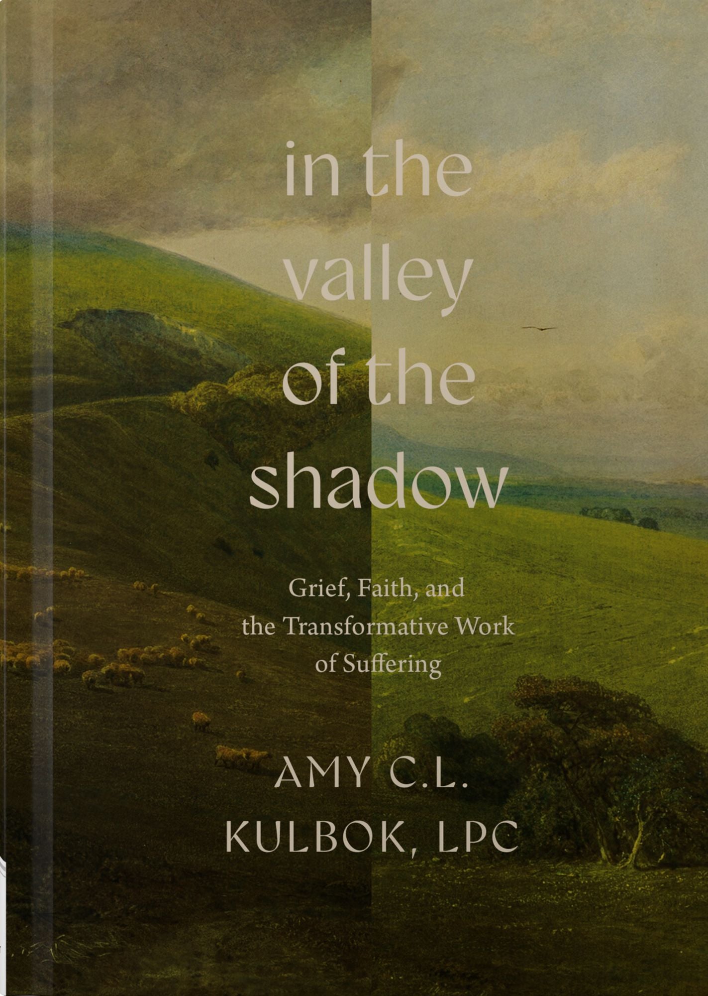 In the Valley of the Shadow: Grief, Faith, and the Transformative Work of Suffering