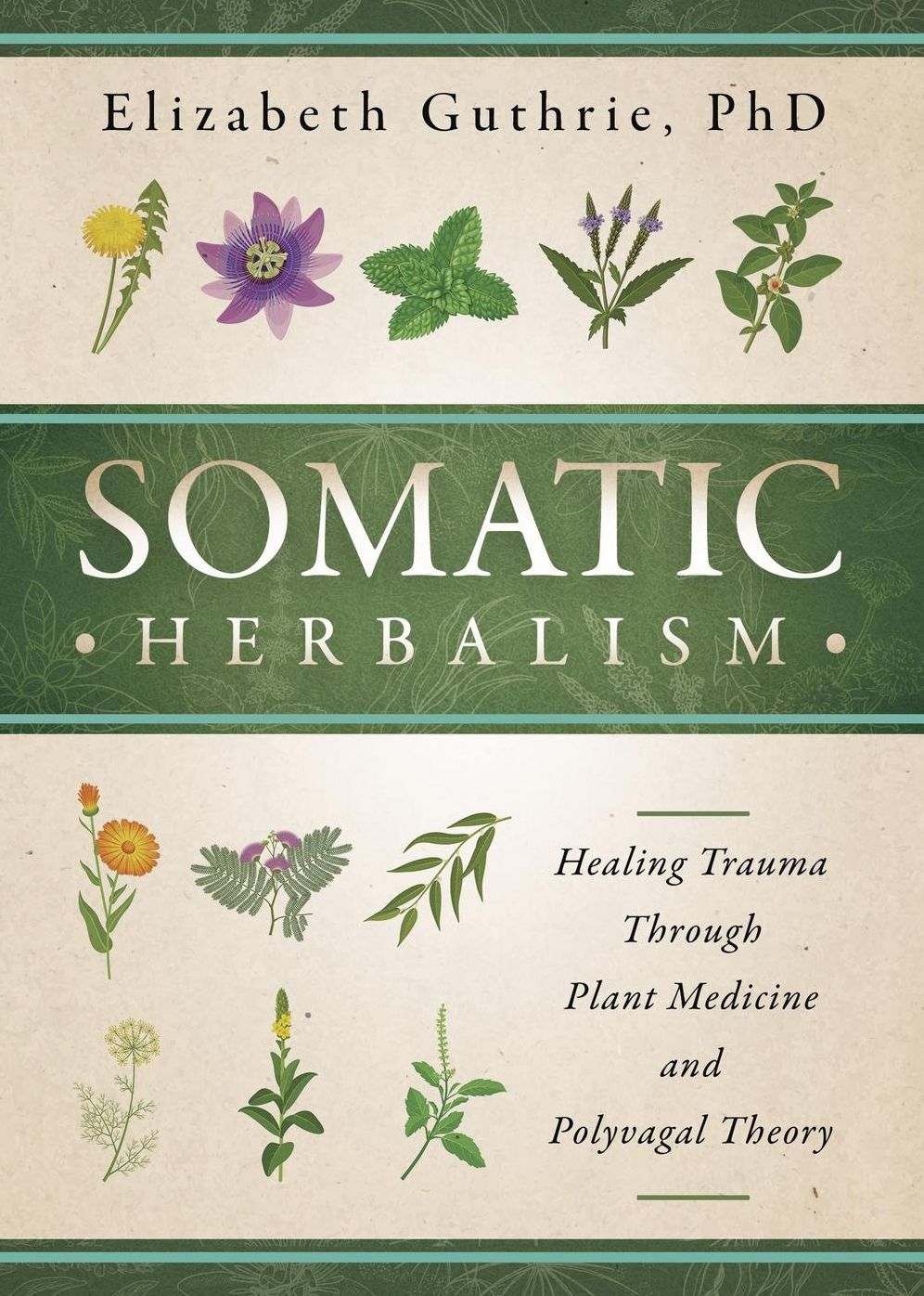 Somatic Herbalism: Healing Trauma through Plant Medicine and Polyvagal Theory