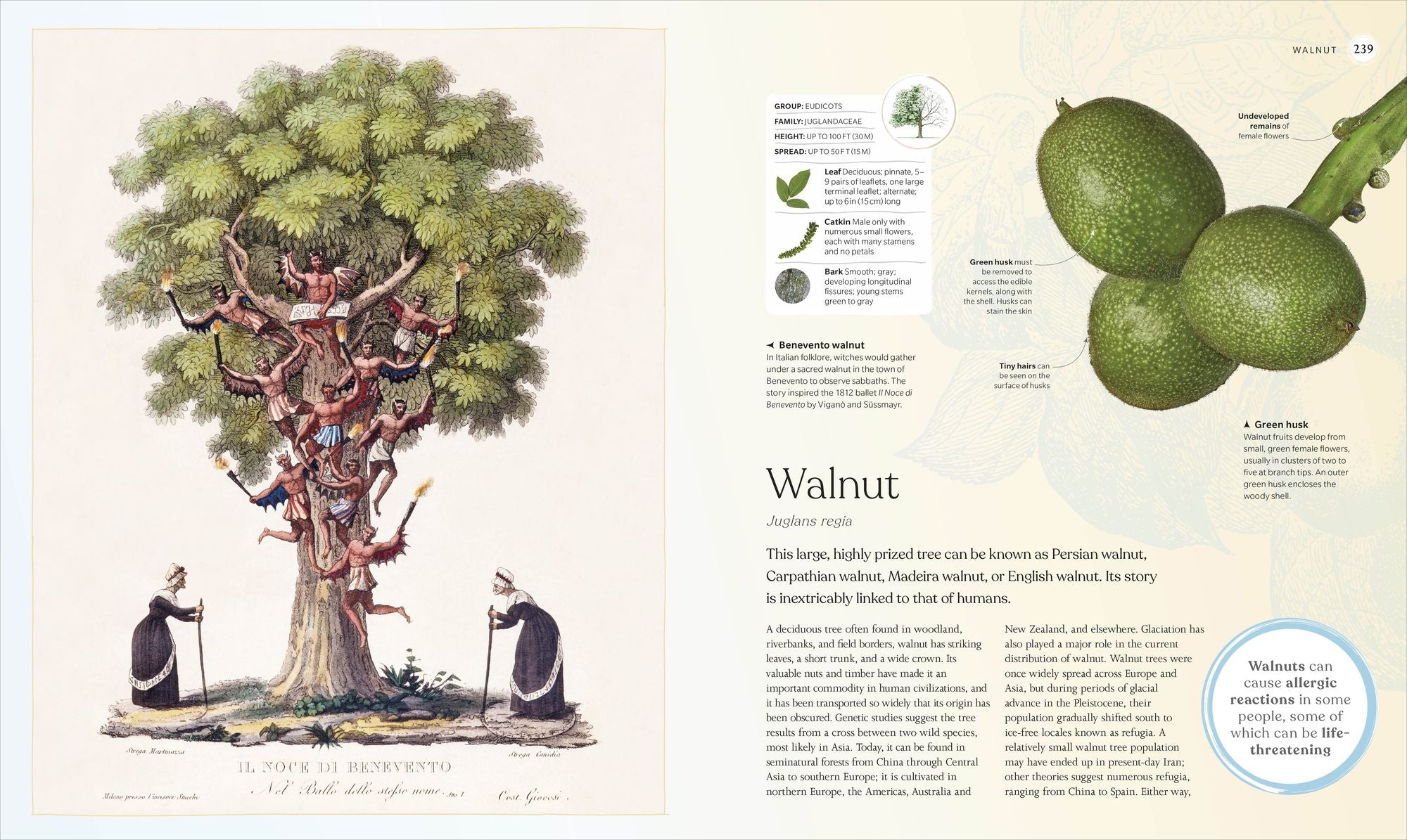 The Tree Book: The Stories, Science, and History of Trees