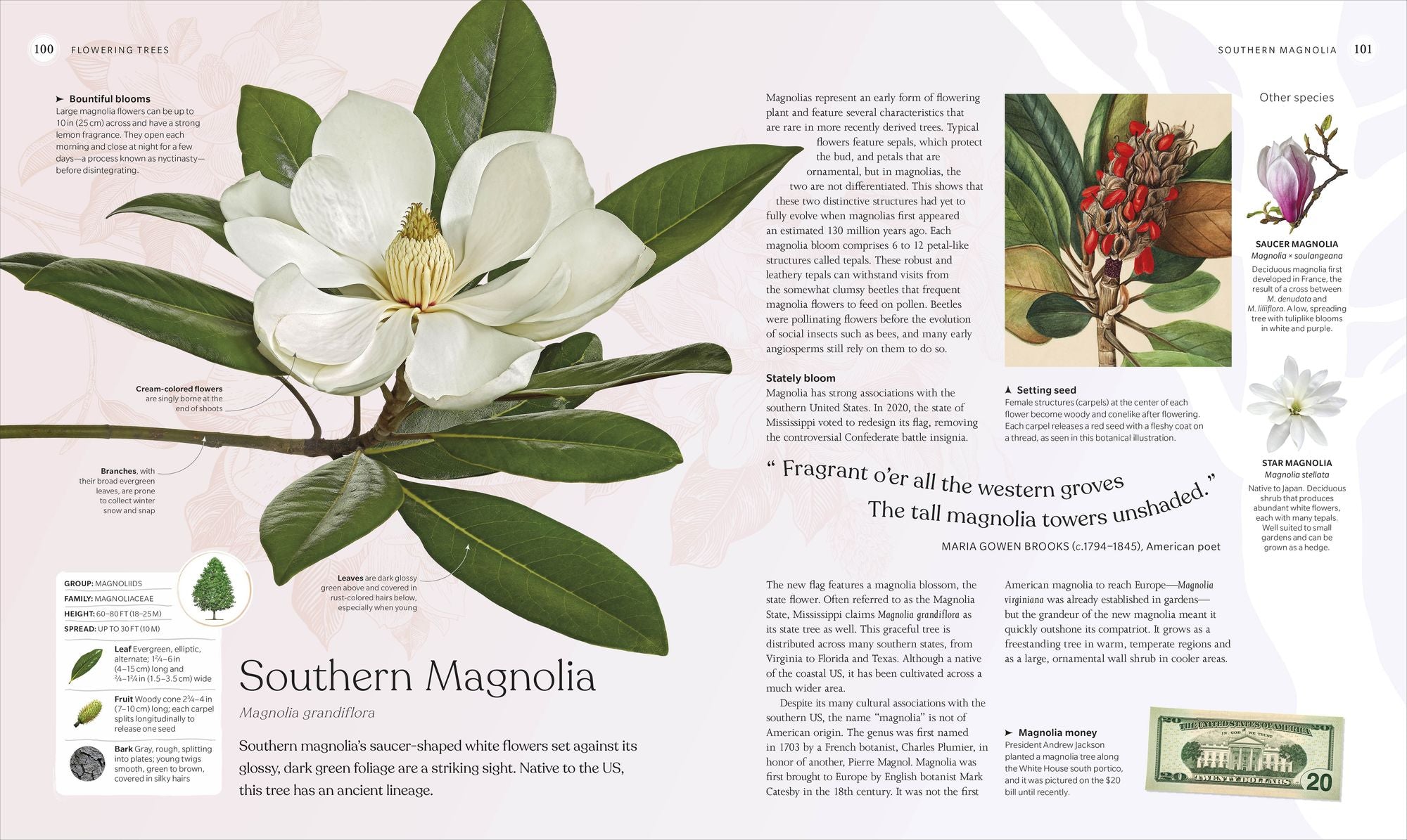 The Tree Book: The Stories, Science, and History of Trees