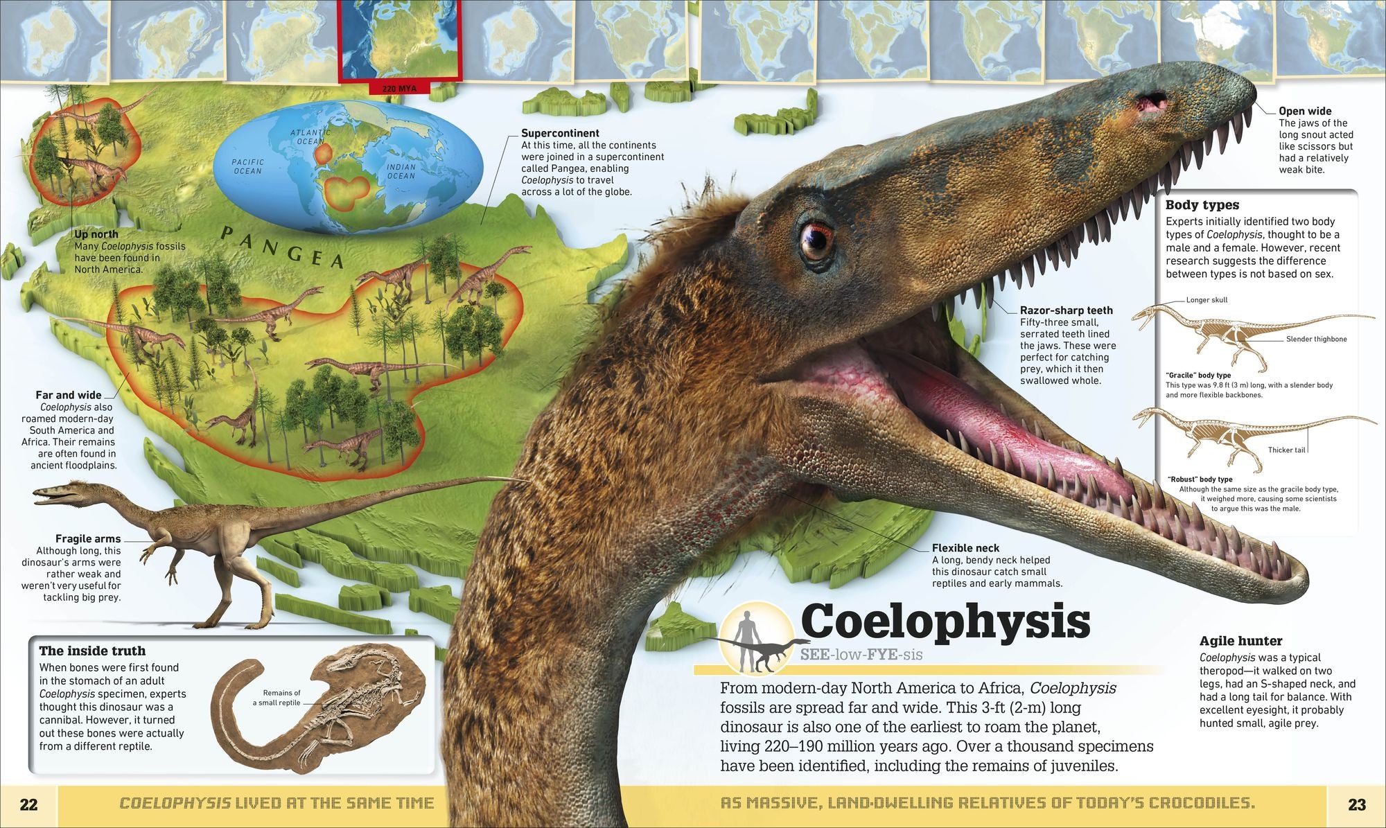 Dinosaur and Other Prehistoric Creatures Atlas: The Prehistoric World as You've Never Seen It Before