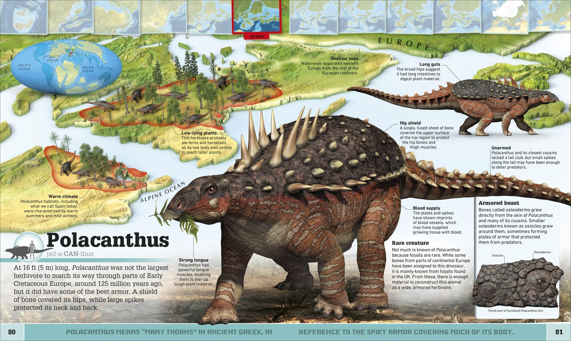 Dinosaur and Other Prehistoric Creatures Atlas: The Prehistoric World as You've Never Seen It Before