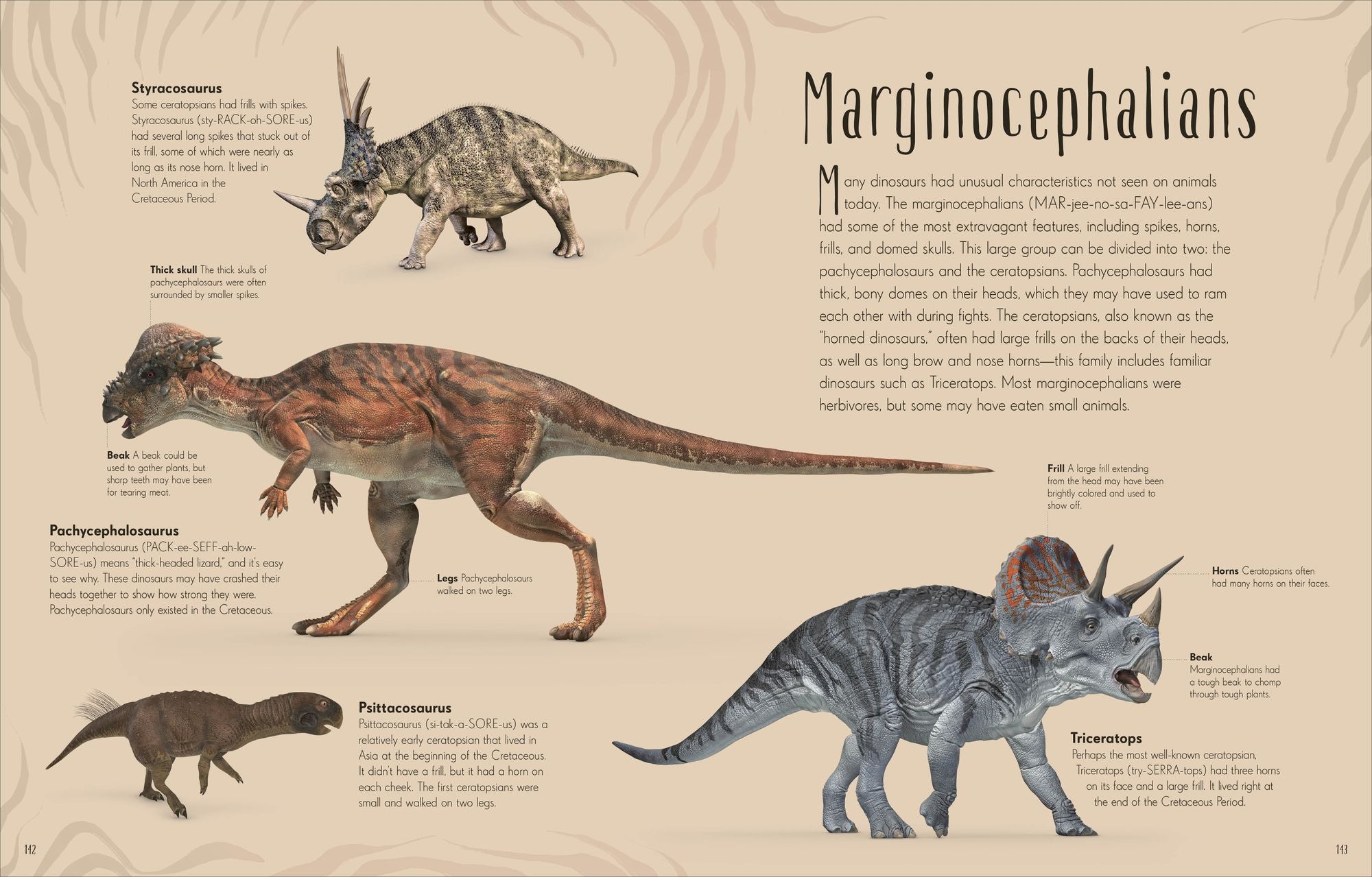 Dinosaurs and Other Prehistoric Life