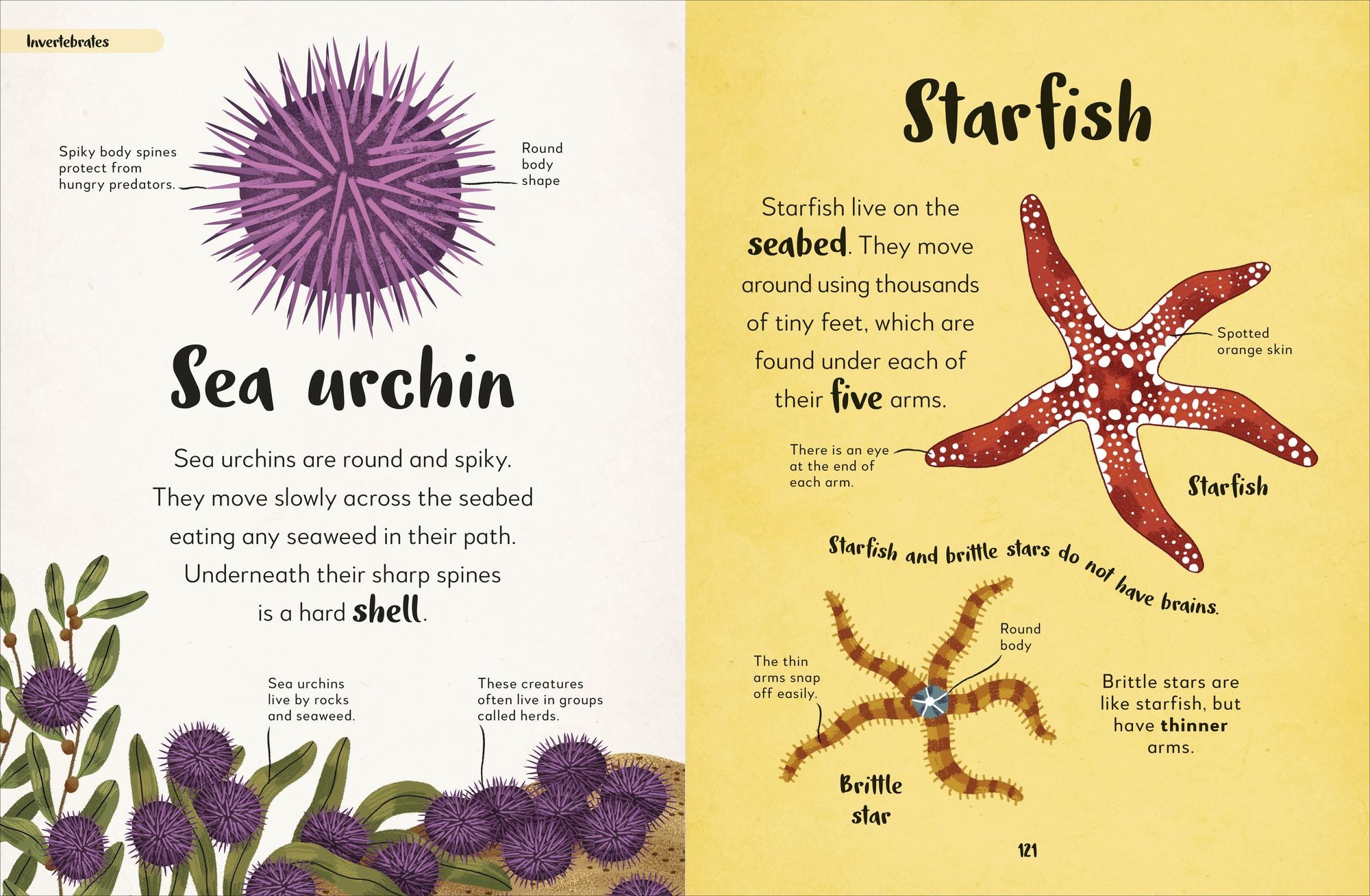 The Bedtime Book of Animals