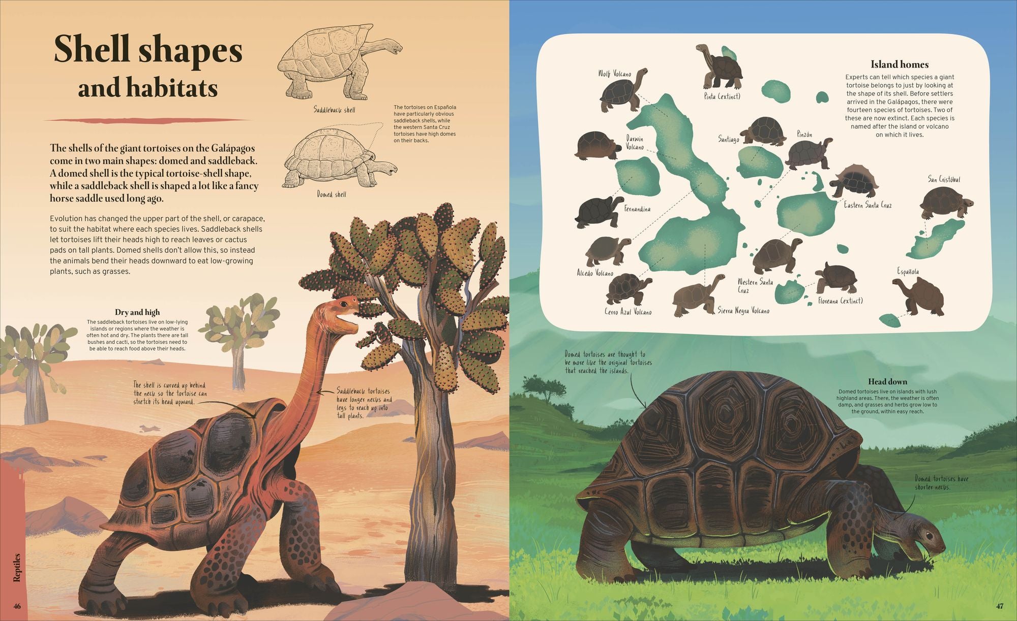 Galapagos