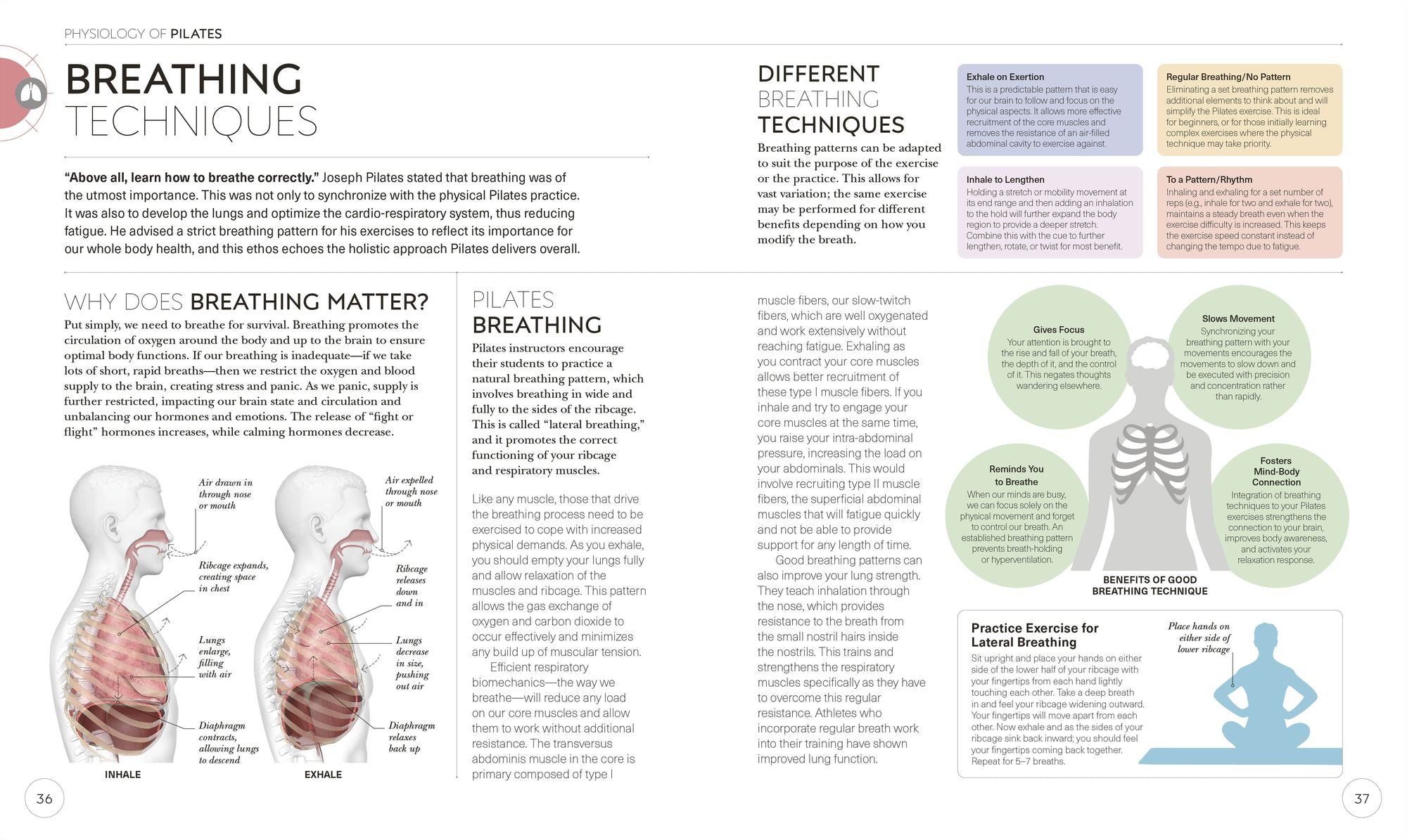 Science of Pilates: Understand the Anatomy and Physiology to Perfect Your Practice