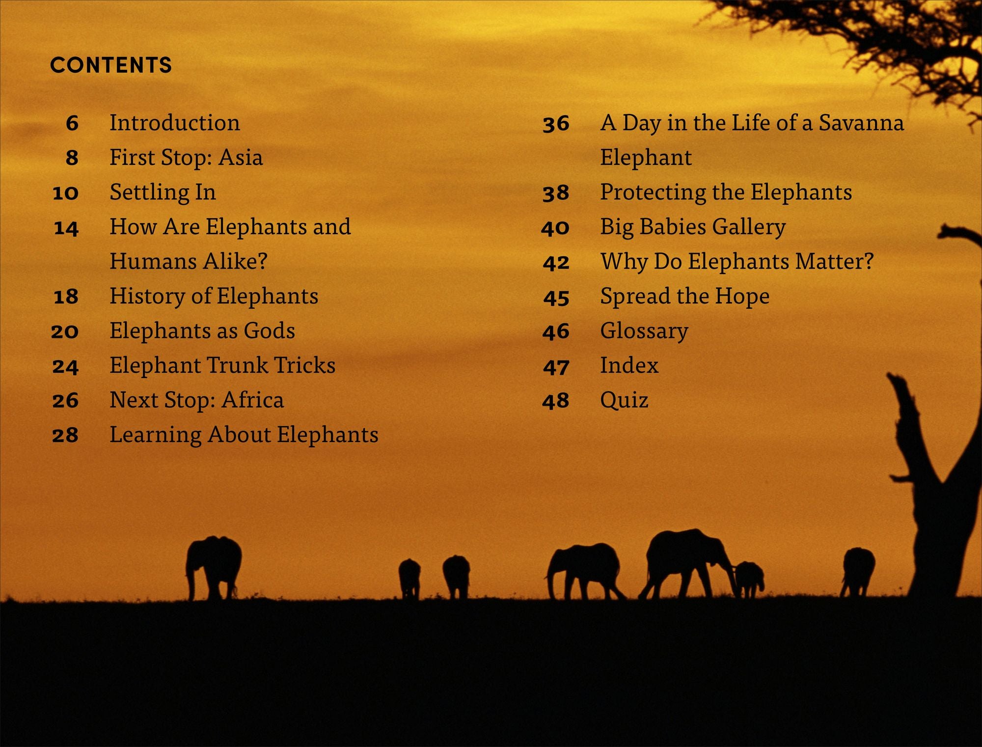 DK Super Readers Level 4 Hope for the Elephants