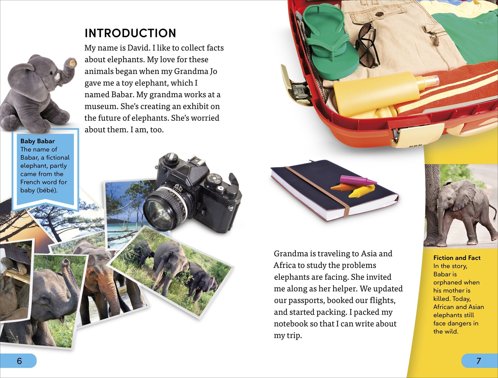 DK Super Readers Level 4 Hope for the Elephants