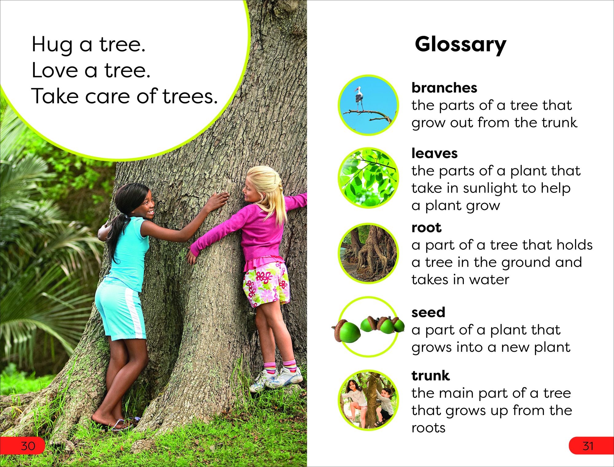 DK Super Readers Pre-Level Save the Trees