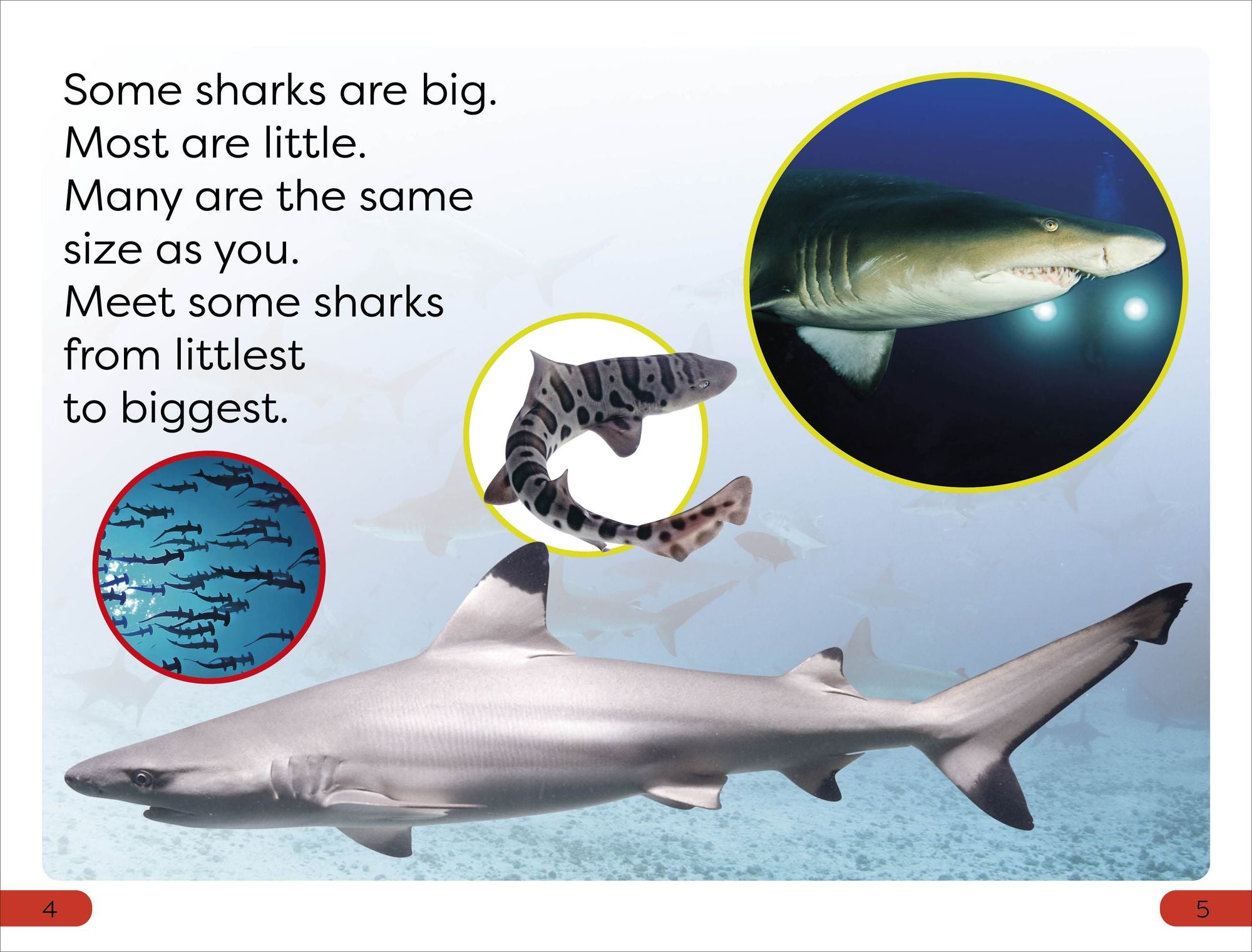 DK Super Readers Pre-Level Little Sharks Big Sharks