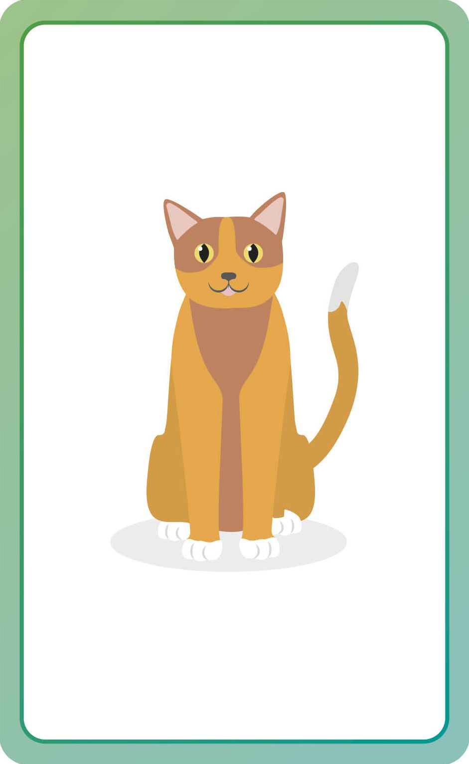 French for Everyone Junior First Words Flash Cards