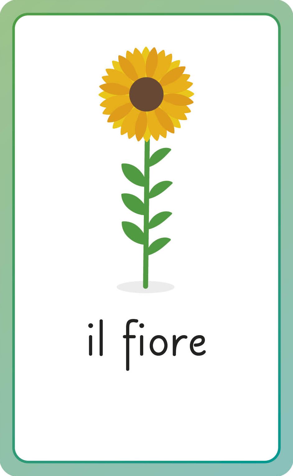 Italian for Everyone Junior First Words Flash Cards