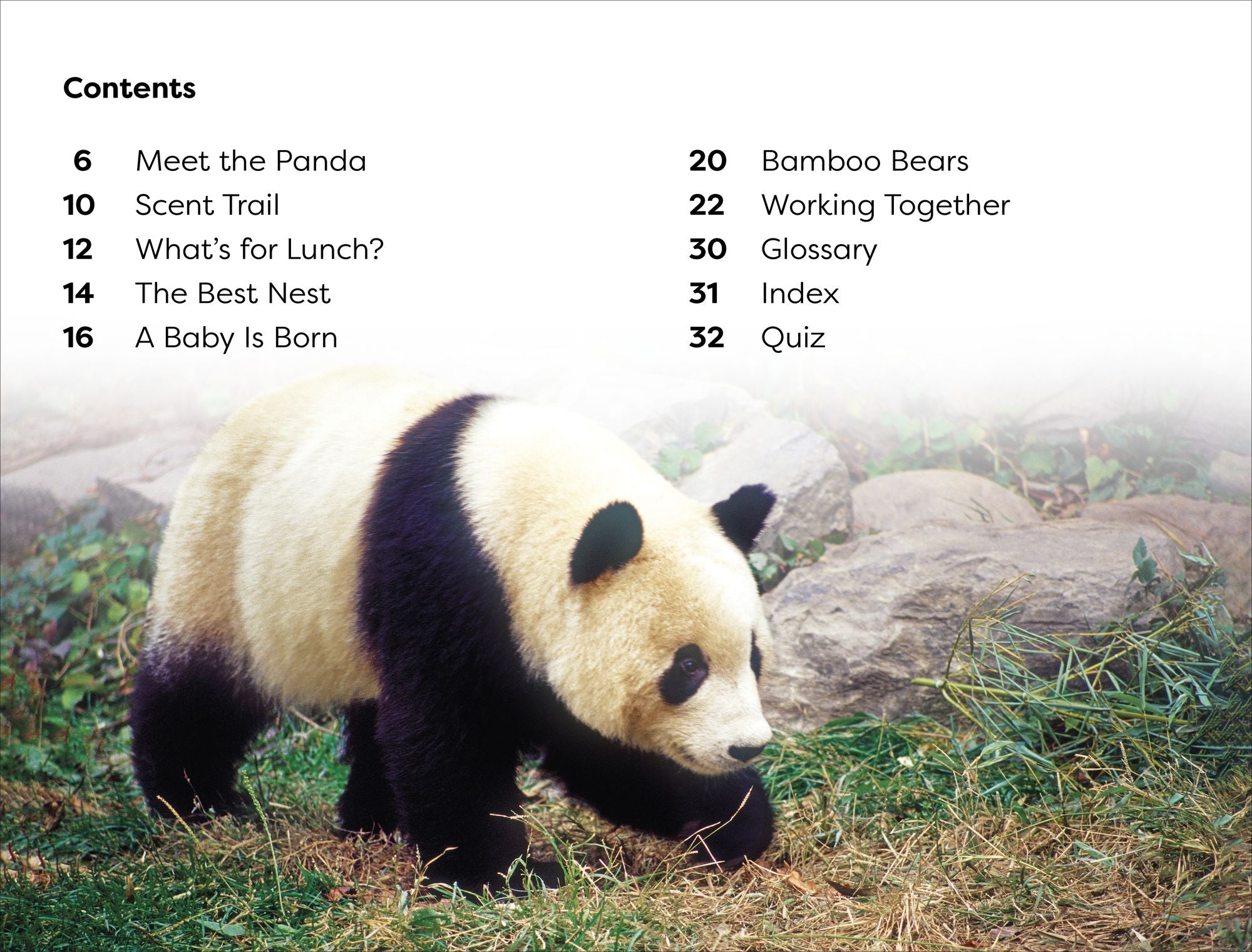 DK Super Readers Level 1 Save the Pandas