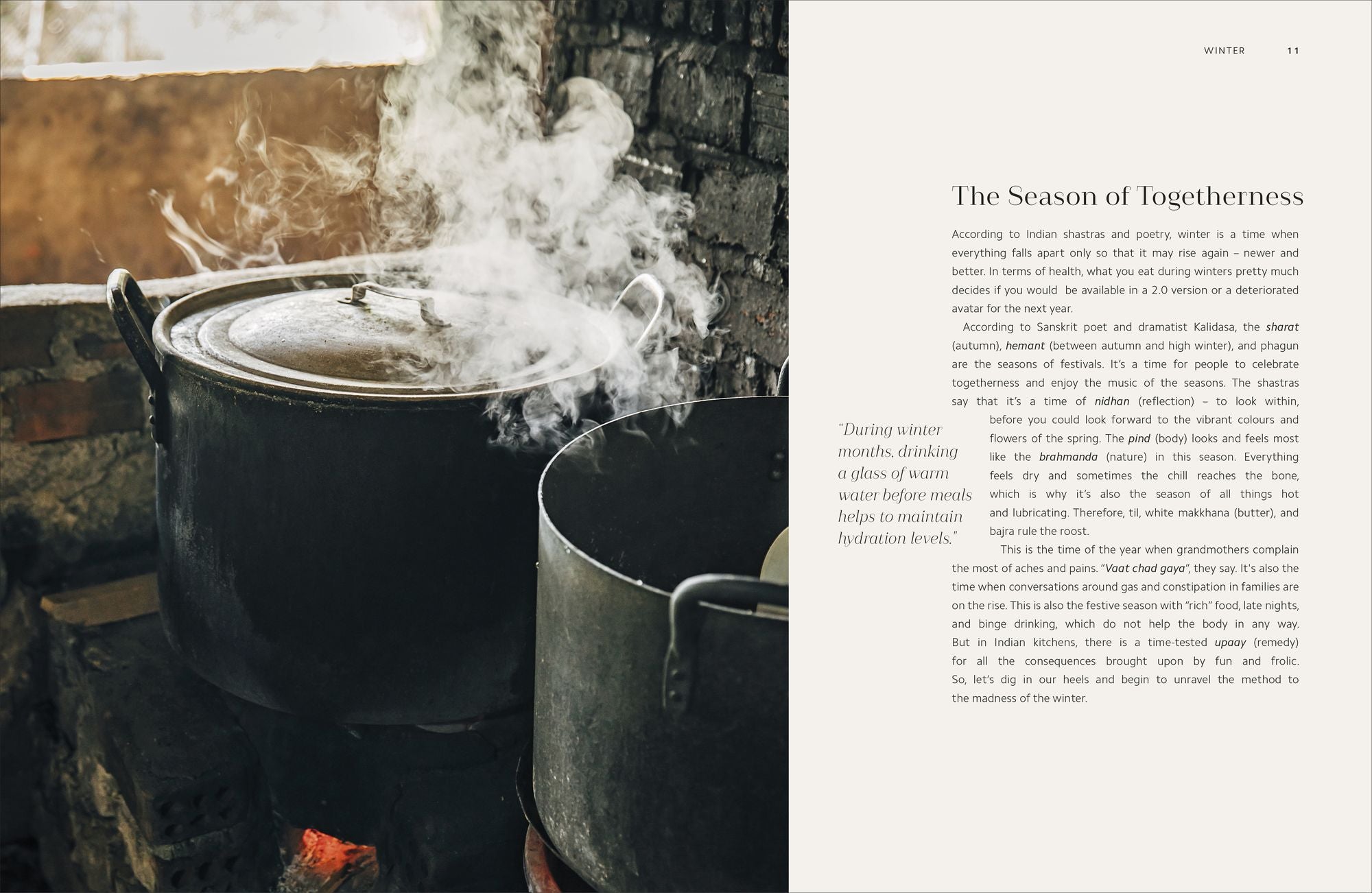 Mitahara: Food Wisdom From My Indian Kitchen