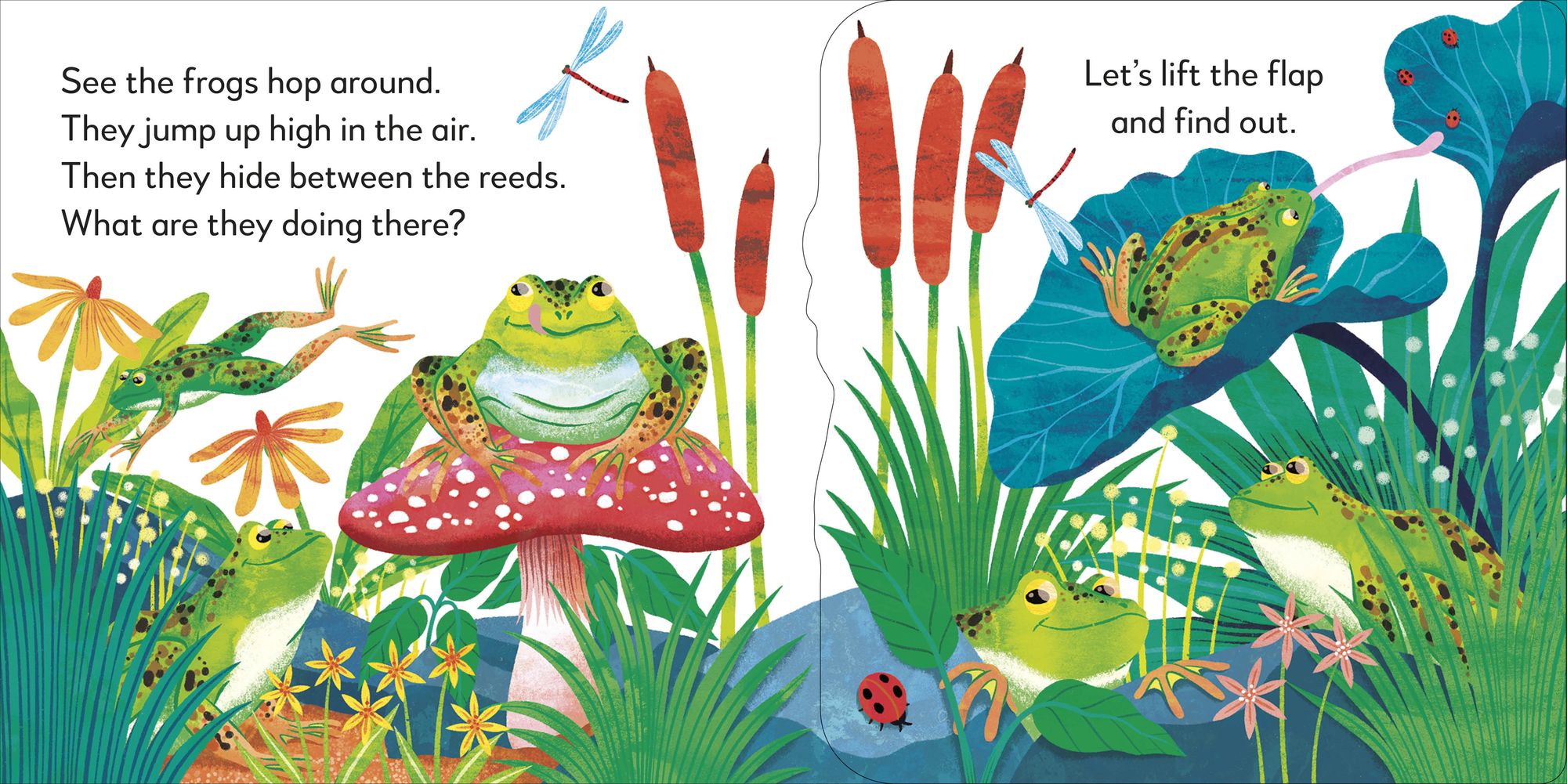 Pop-Up Peekaboo! Frog: A Nature Surprise Under Every Flap!