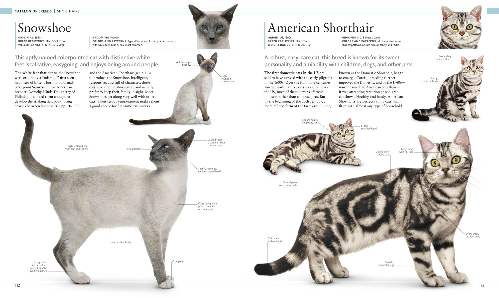 The Cat Encyclopedia: The Definitive Visual Guide