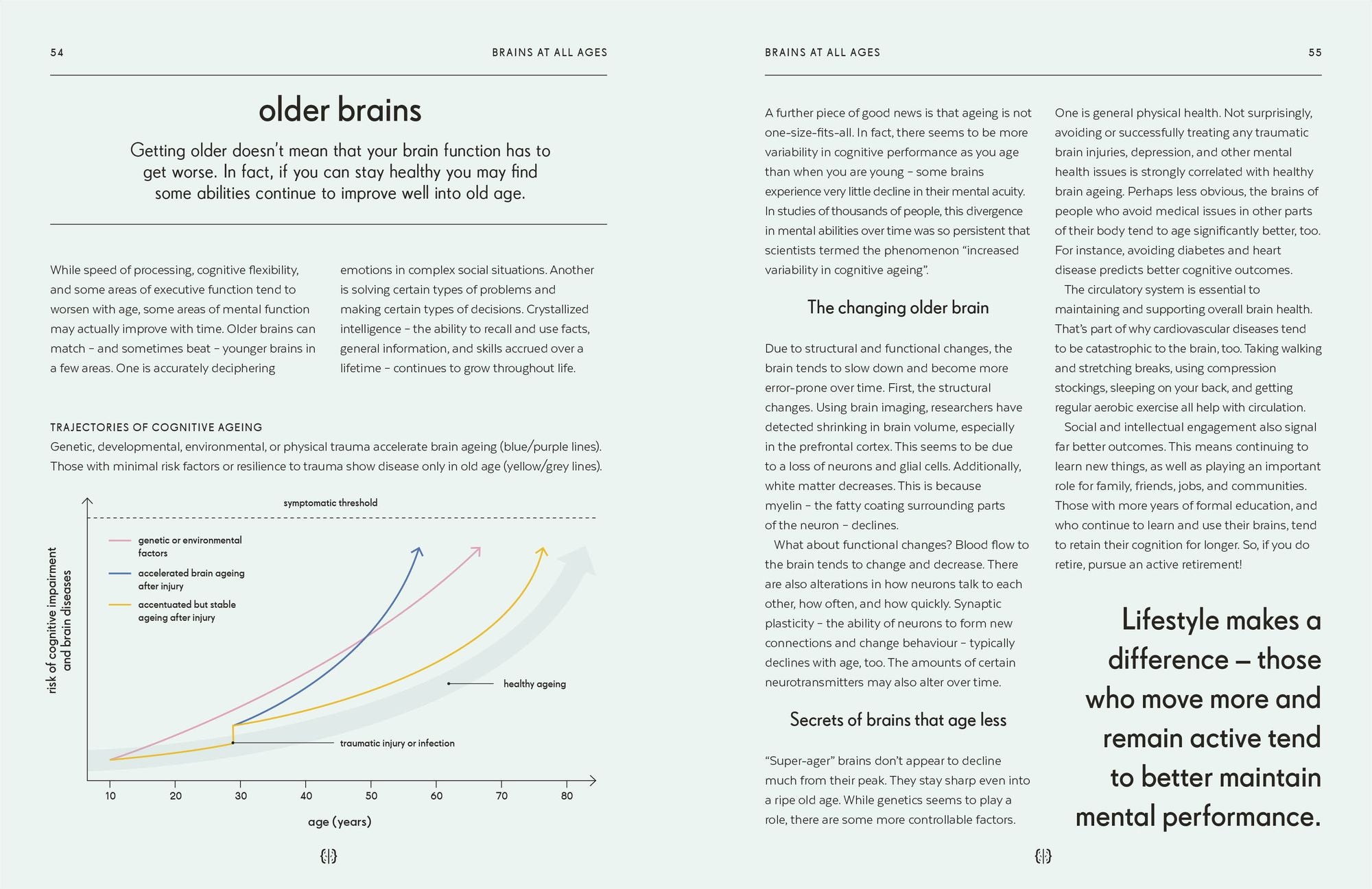 Brain: An Owner's Guide