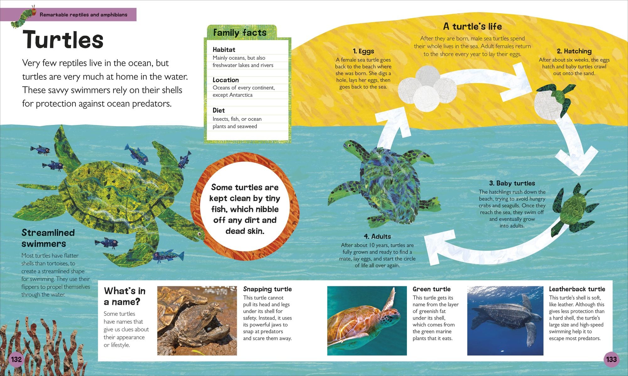The Very Hungry Caterpillar's Very First Animal Encyclopedia: An Introduction to Animals, For VERY Hungry Young Minds