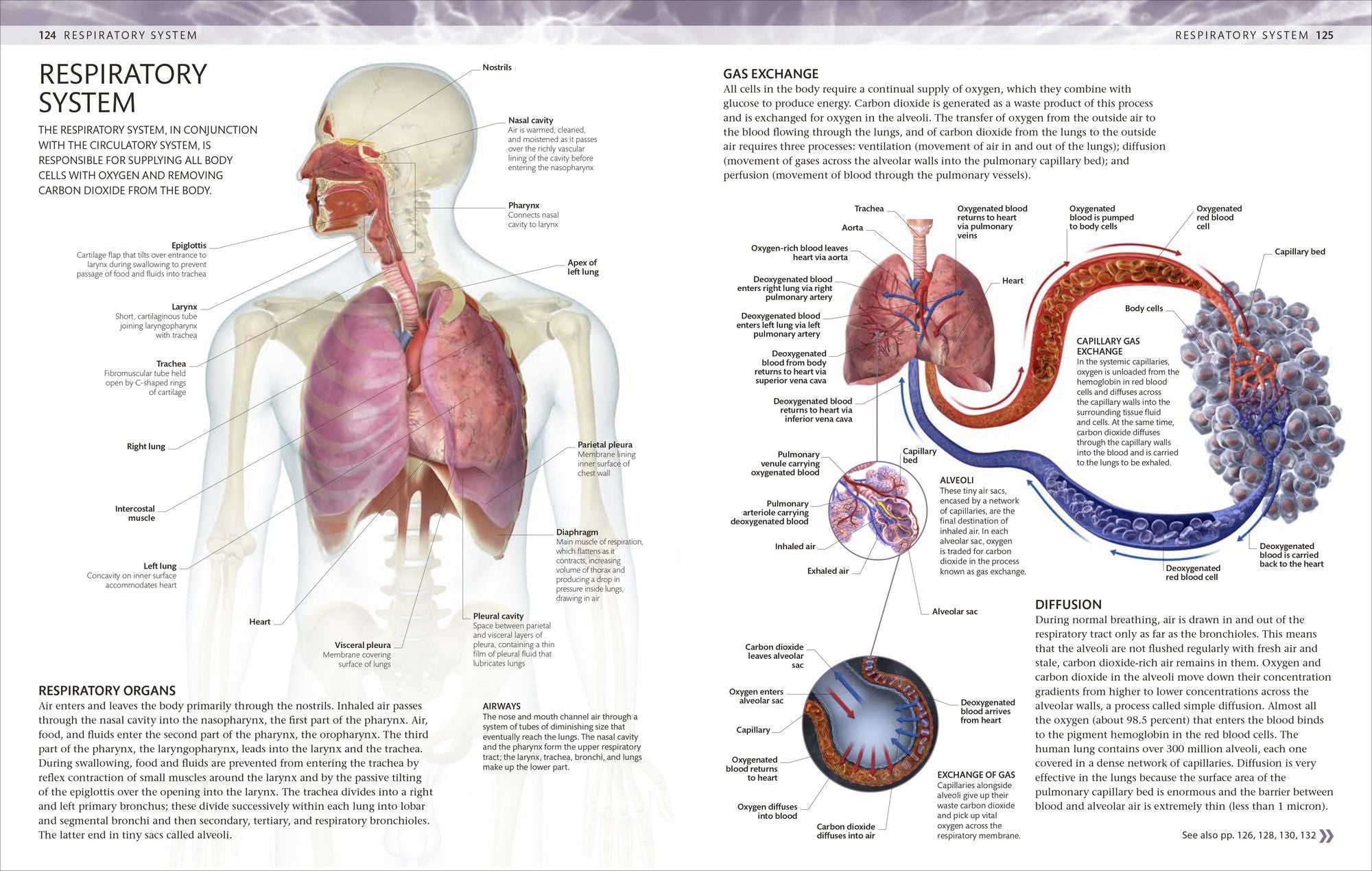 The Human Body Coloring Book: The Ultimate Anatomy Study Guide, Second Edition