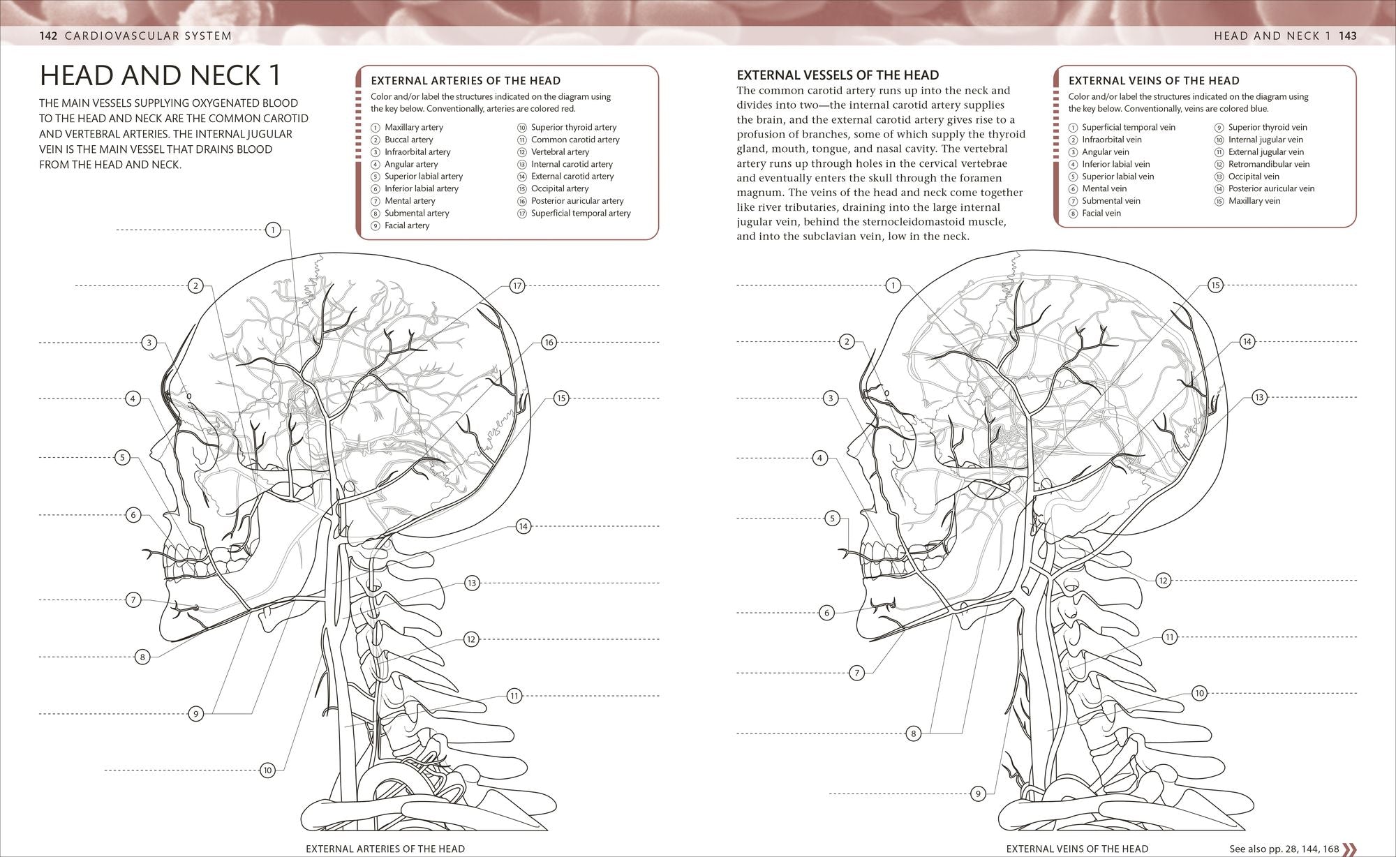 The Human Body Coloring Book: The Ultimate Anatomy Study Guide, Second Edition