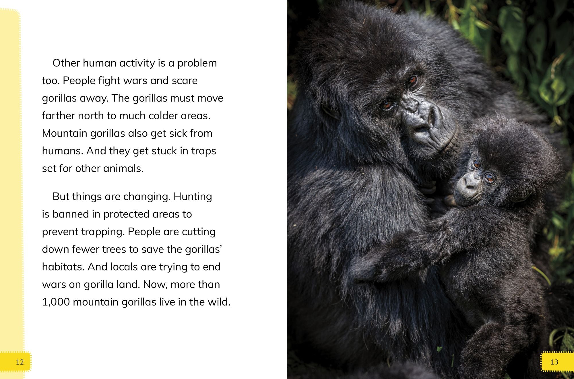 Endangered Mammals Around the World