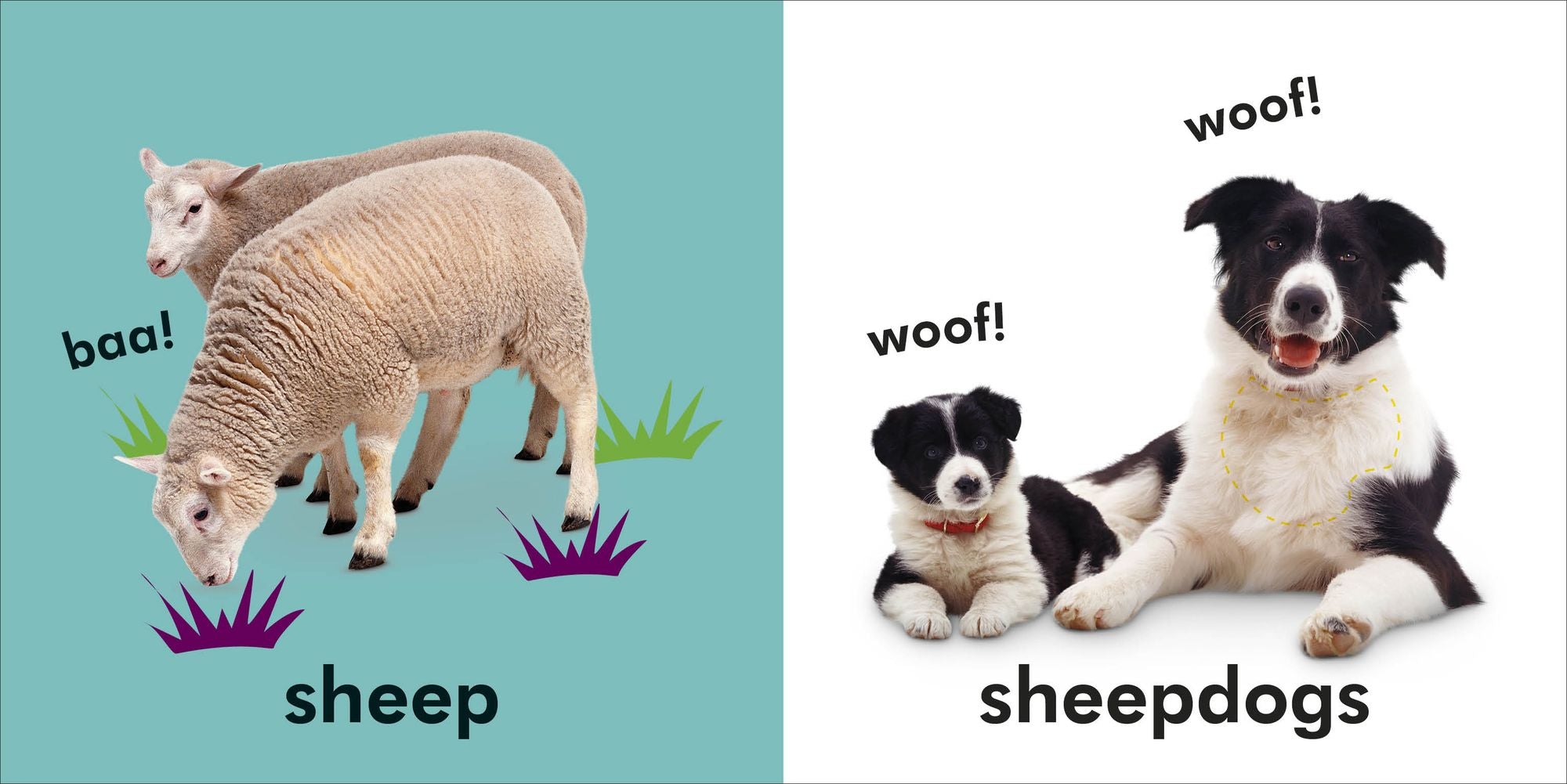 Baby Touch and Feel Farm
