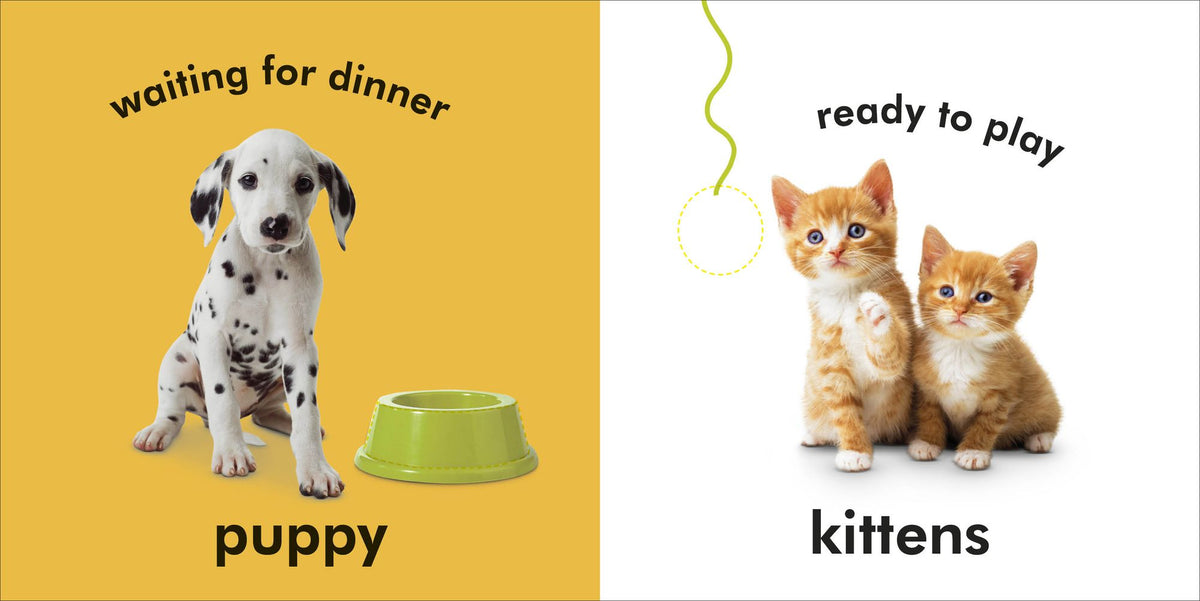 Baby Touch and Feel Baby Animals: An Interactive Little Ones Board Book