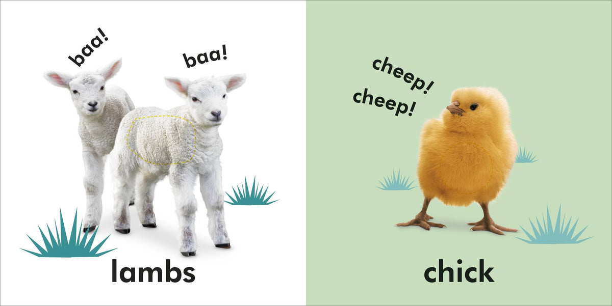 Baby Touch and Feel Baby Animals: An Interactive Little Ones Board Book