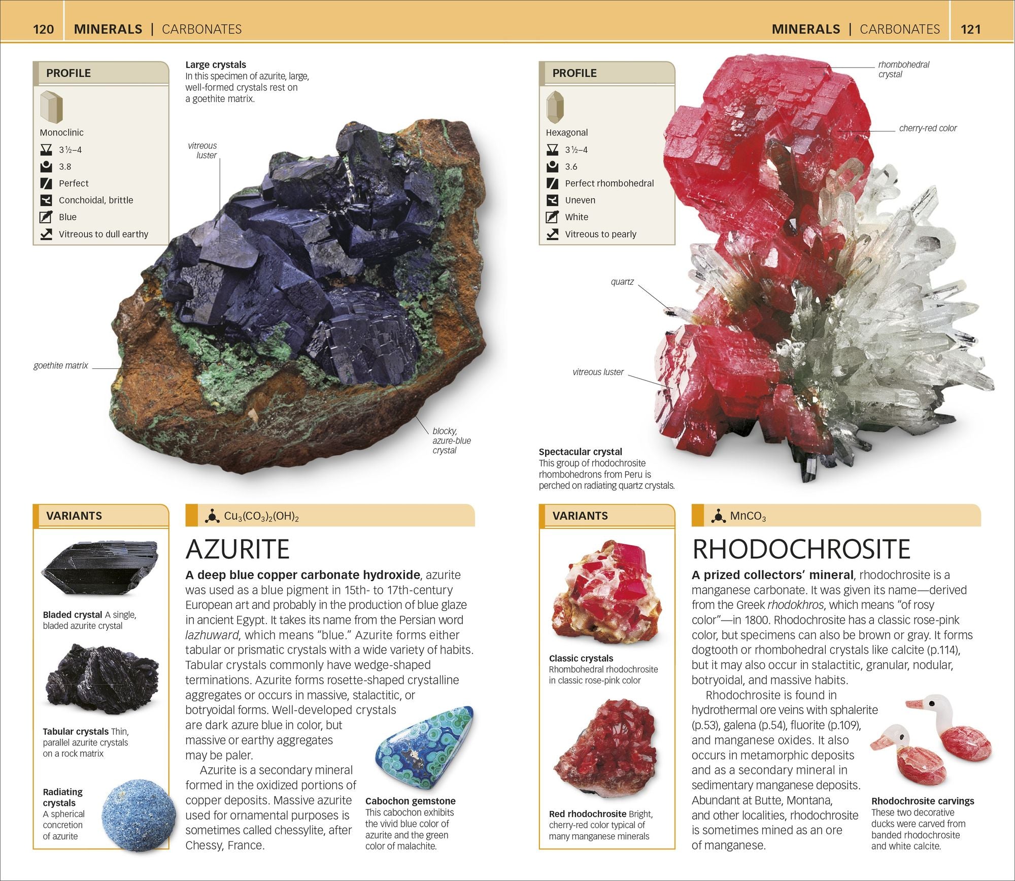 Nature Guide: Rocks and Minerals: The World in Your Hands