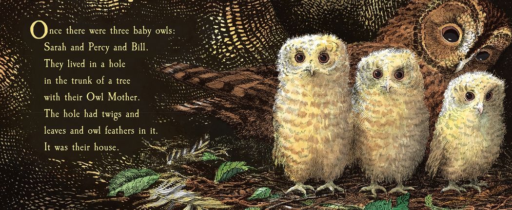 Owl Babies