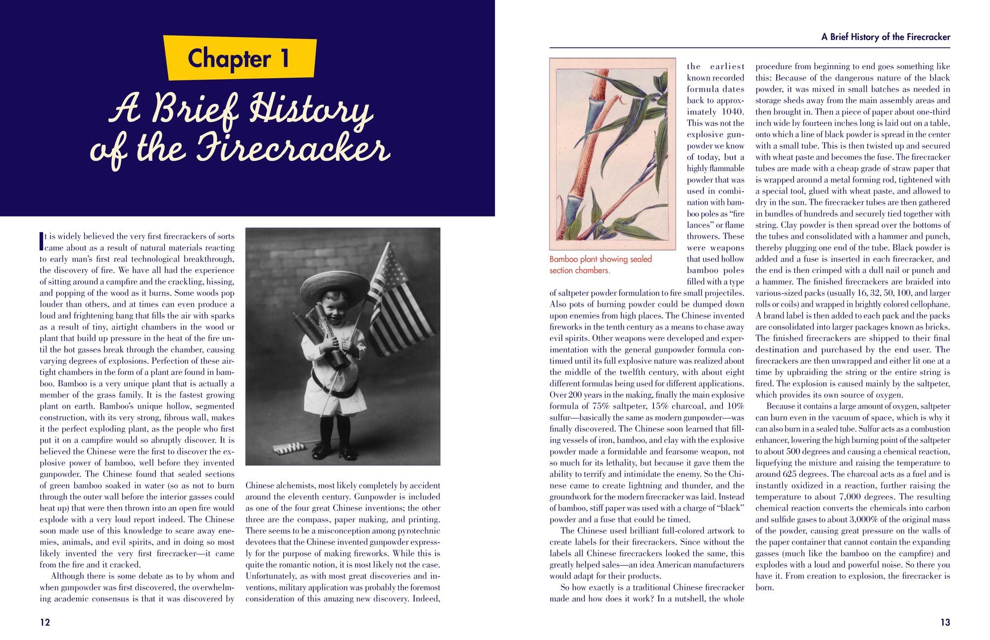 The Book of Great American Firecrackers: Cherry Bombs, M-80s, Cannon Crackers, and More