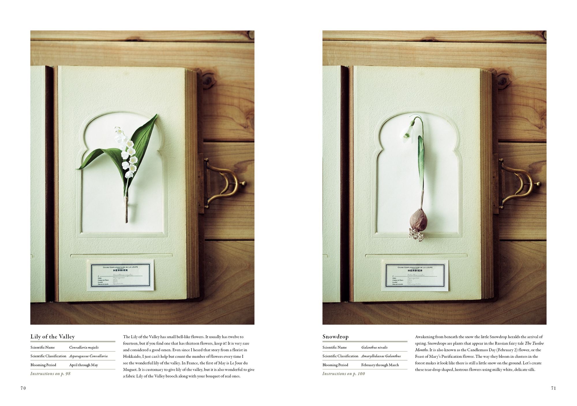 The Herbarium of Fabric Flowers: Twenty Flower Brooch Projects Translated from Nature