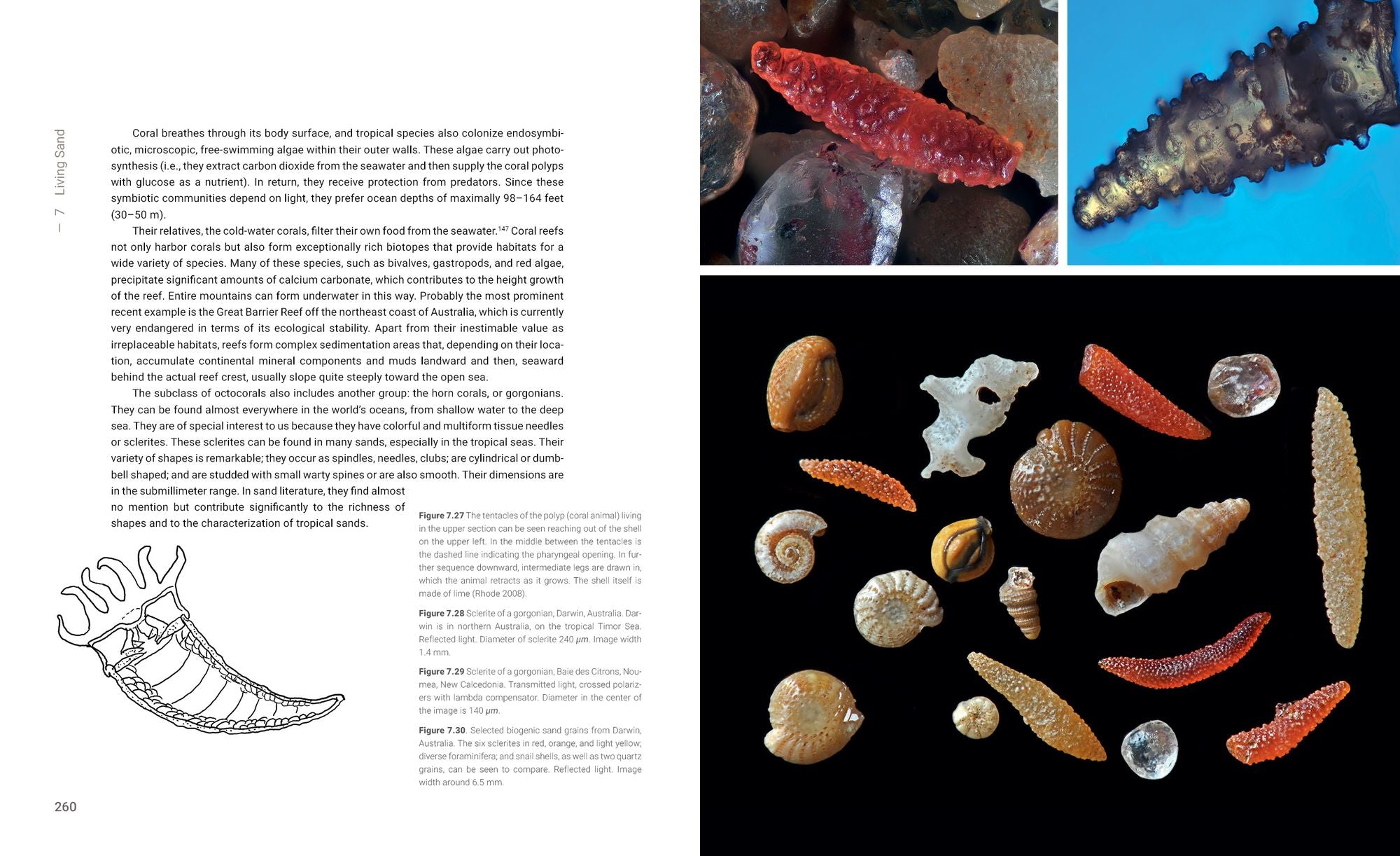 Sand Up Close: Aesthetics, Philosophy, and Science