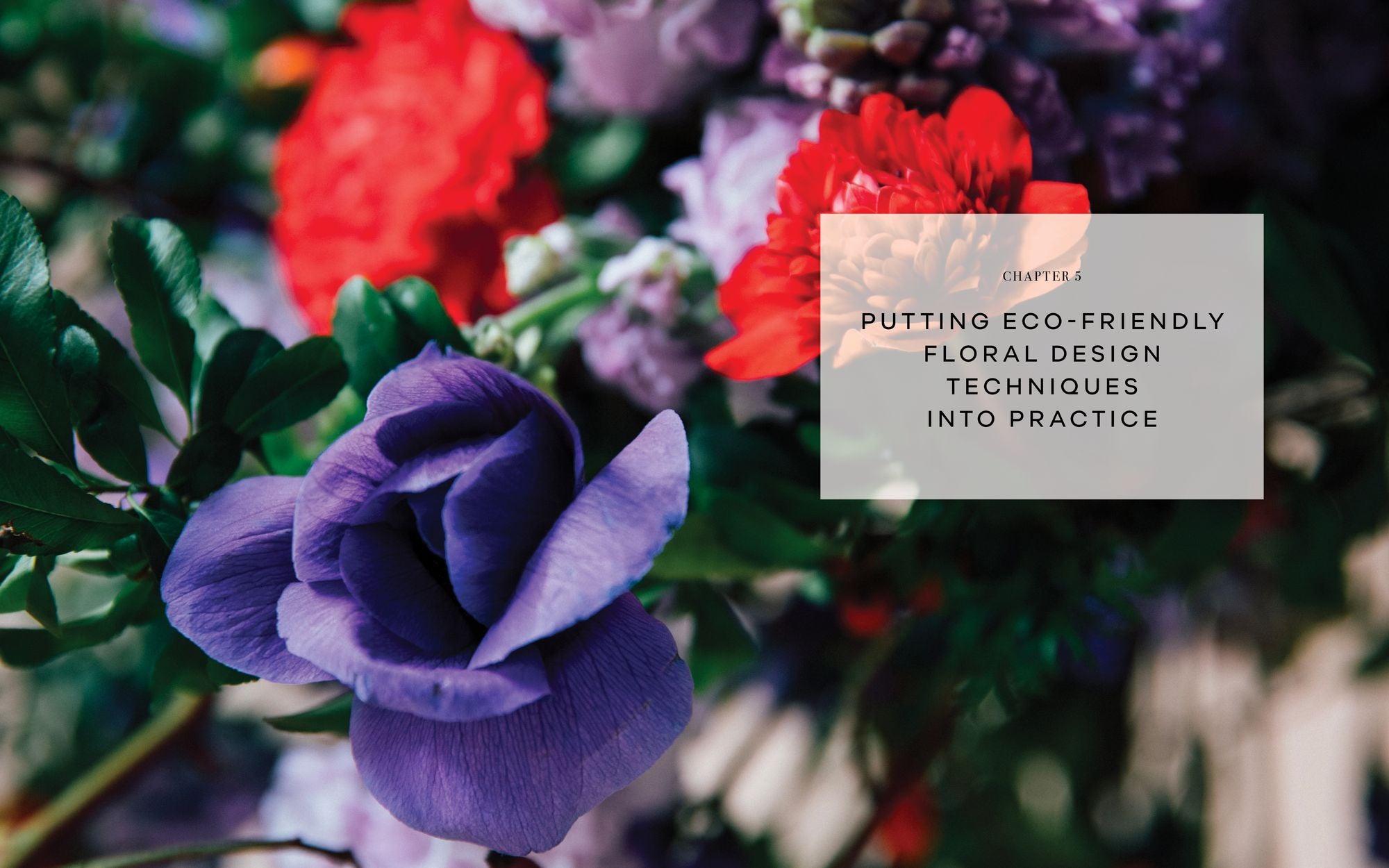 Starting Your Floral Design Studio: A Creative Guide to Finding Your Style, Growing Your Business, and Nurturing Your Dream