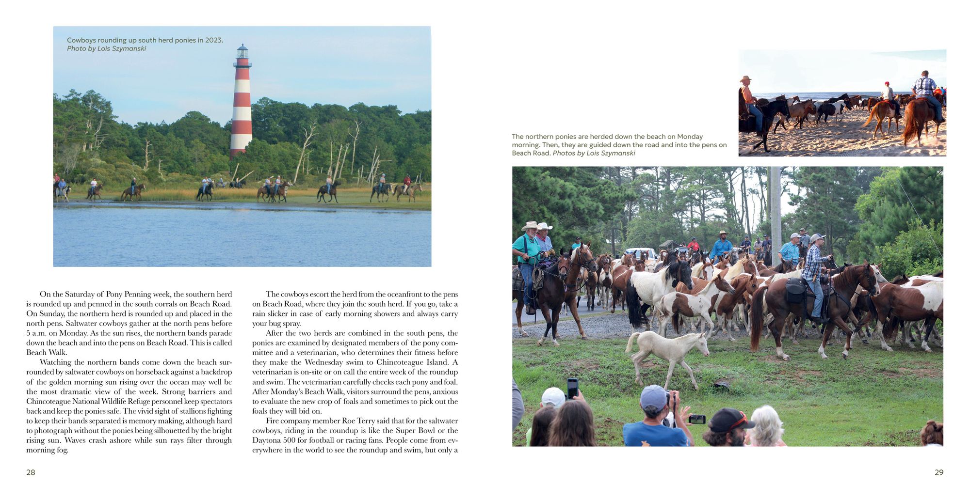 Out of the Sea: Today's Chincoteague Pony (2nd Edition)