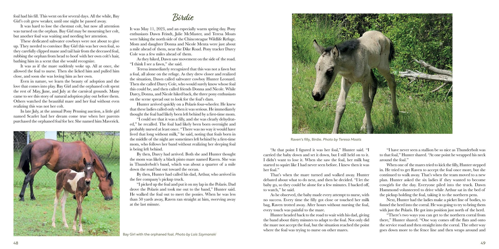 Out of the Sea: Today's Chincoteague Pony (2nd Edition)