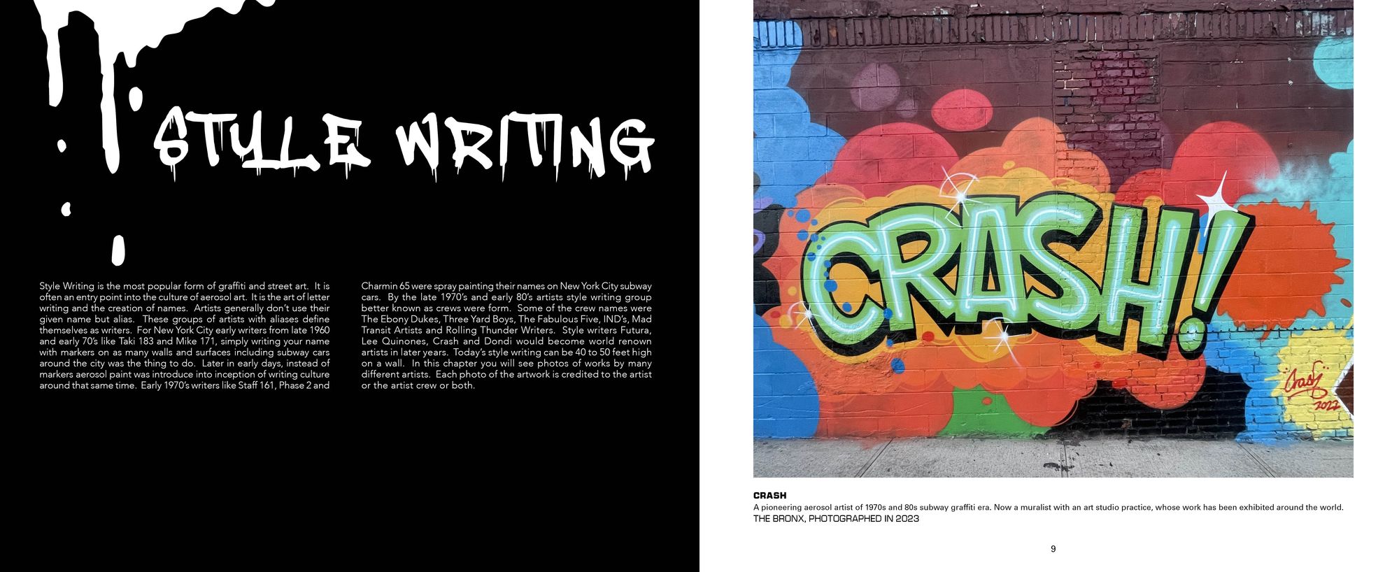 Aerosol Art Kings: Photographs of Street Art in New York City, 2018-2024